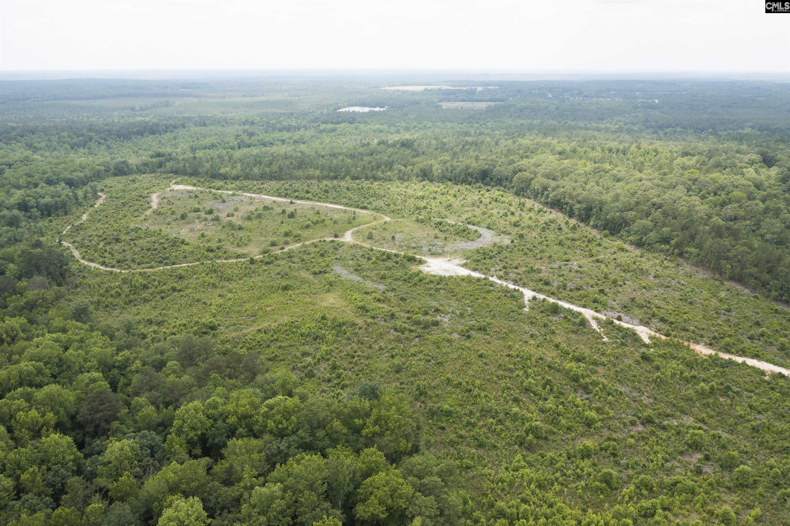 117 Glover Road, Pelion, South Carolina image 30