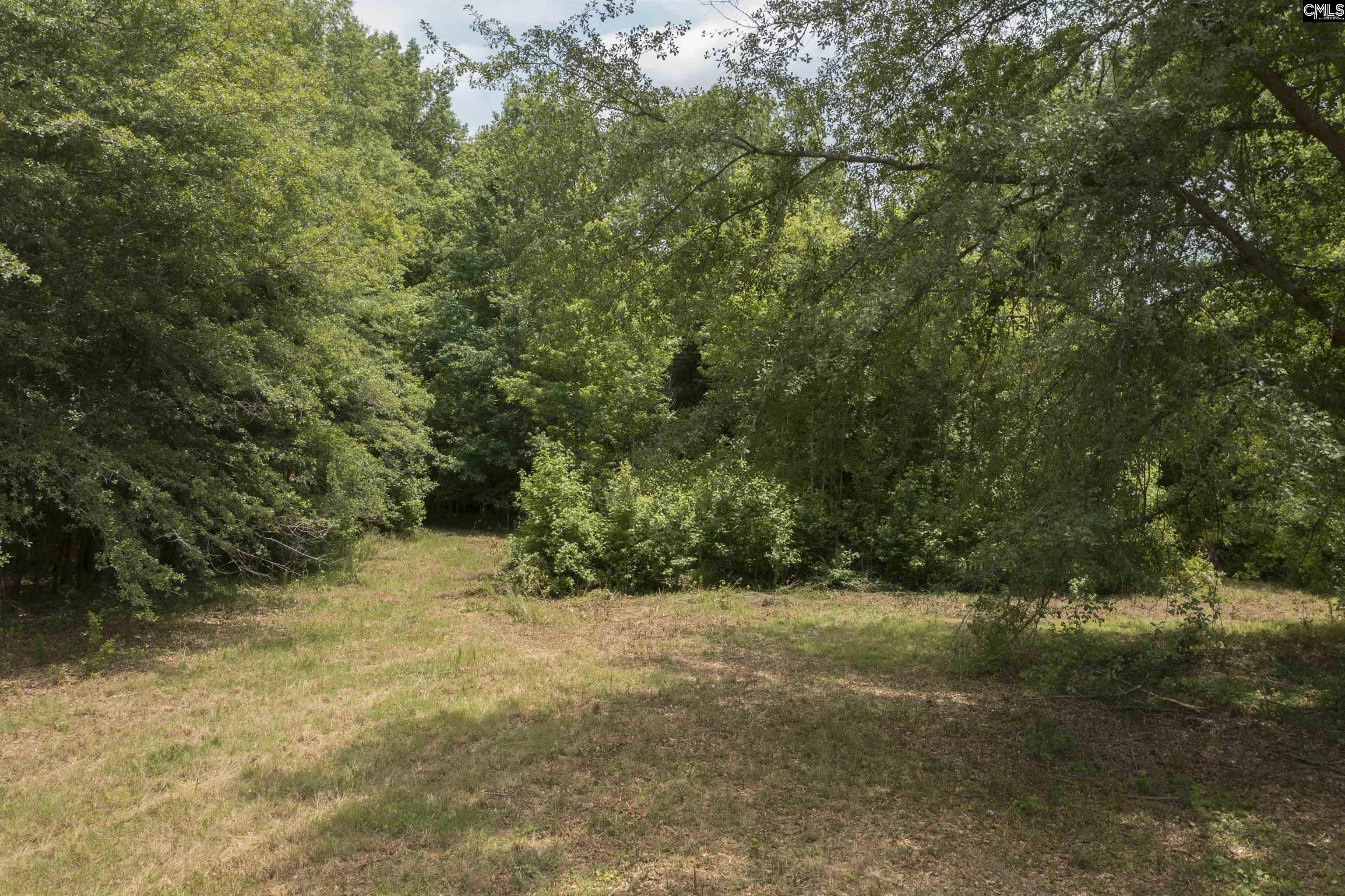 117 Glover Road, Pelion, South Carolina image 4