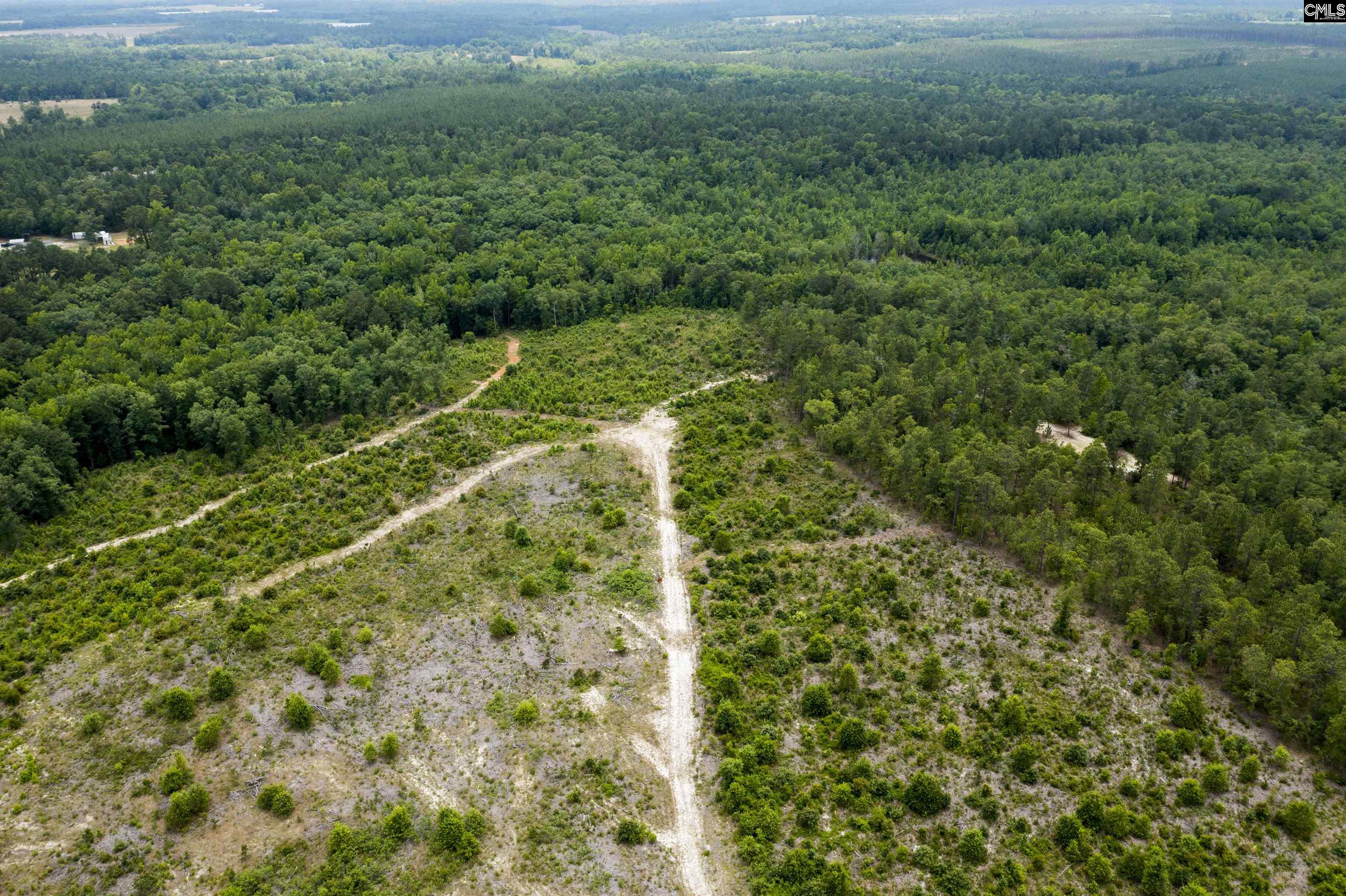 117 Glover Road, Pelion, South Carolina image 31