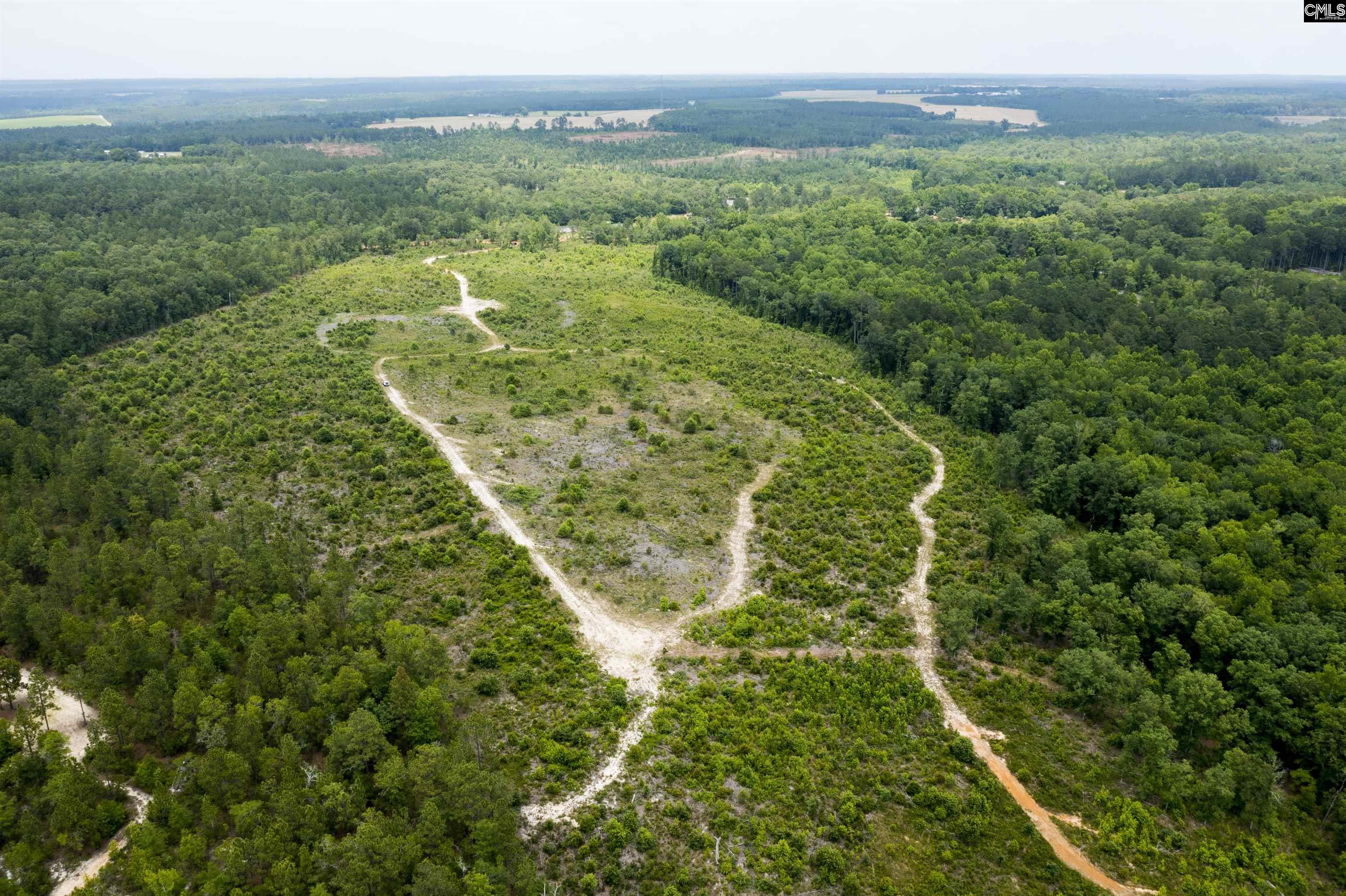 117 Glover Road, Pelion, South Carolina image 38