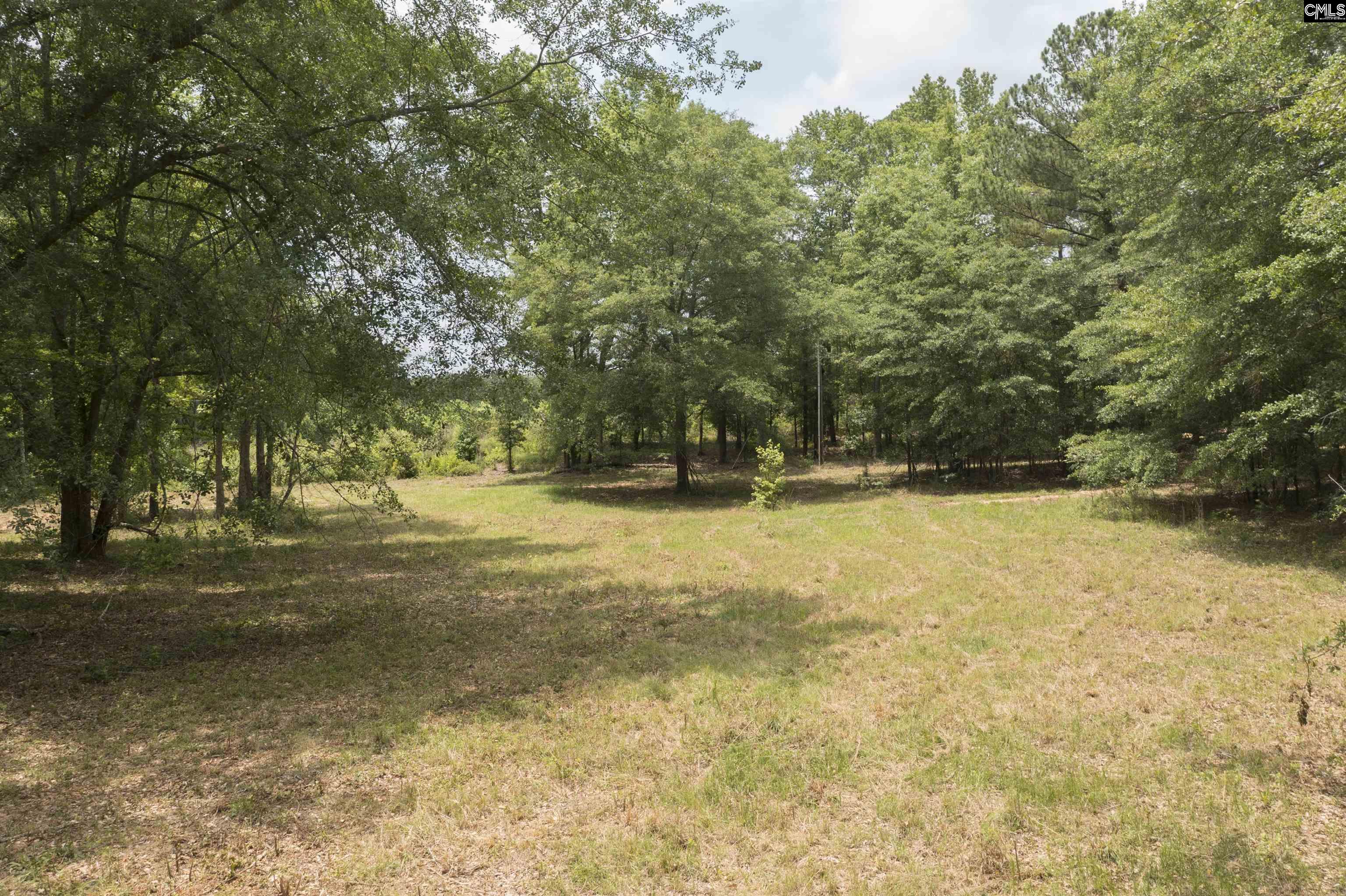 117 Glover Road, Pelion, South Carolina image 5
