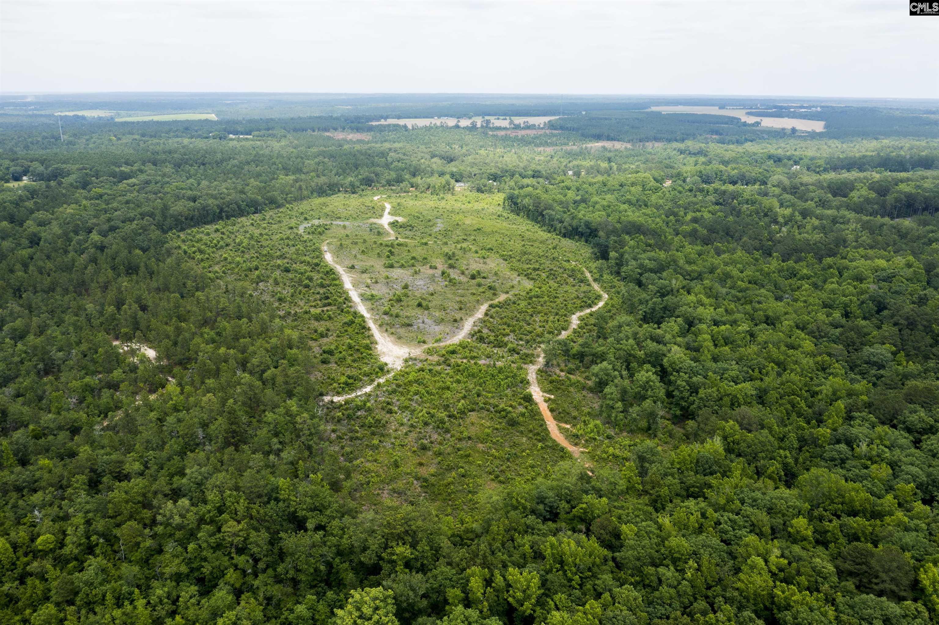 117 Glover Road, Pelion, South Carolina image 42