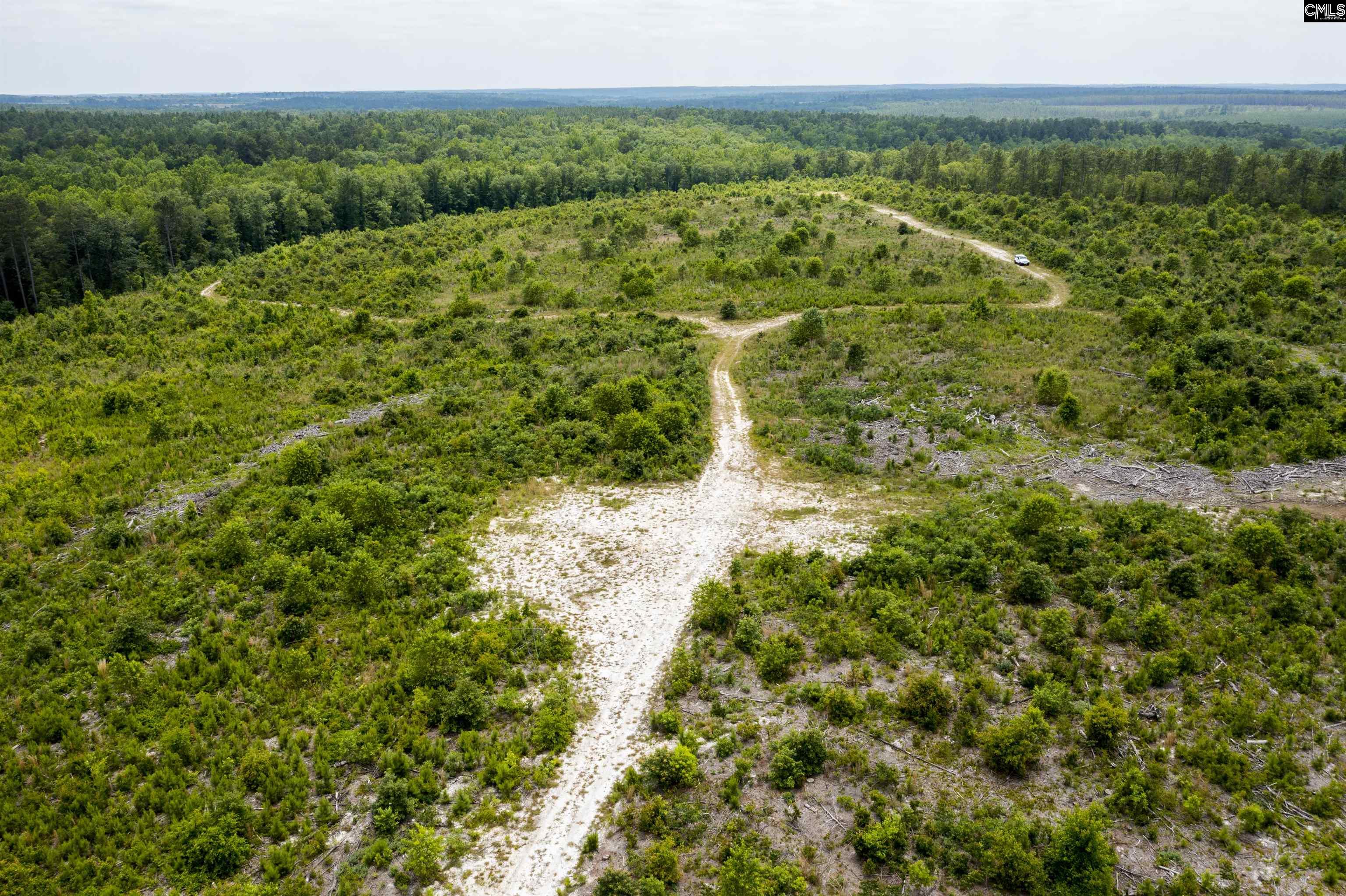 117 Glover Road, Pelion, South Carolina image 47