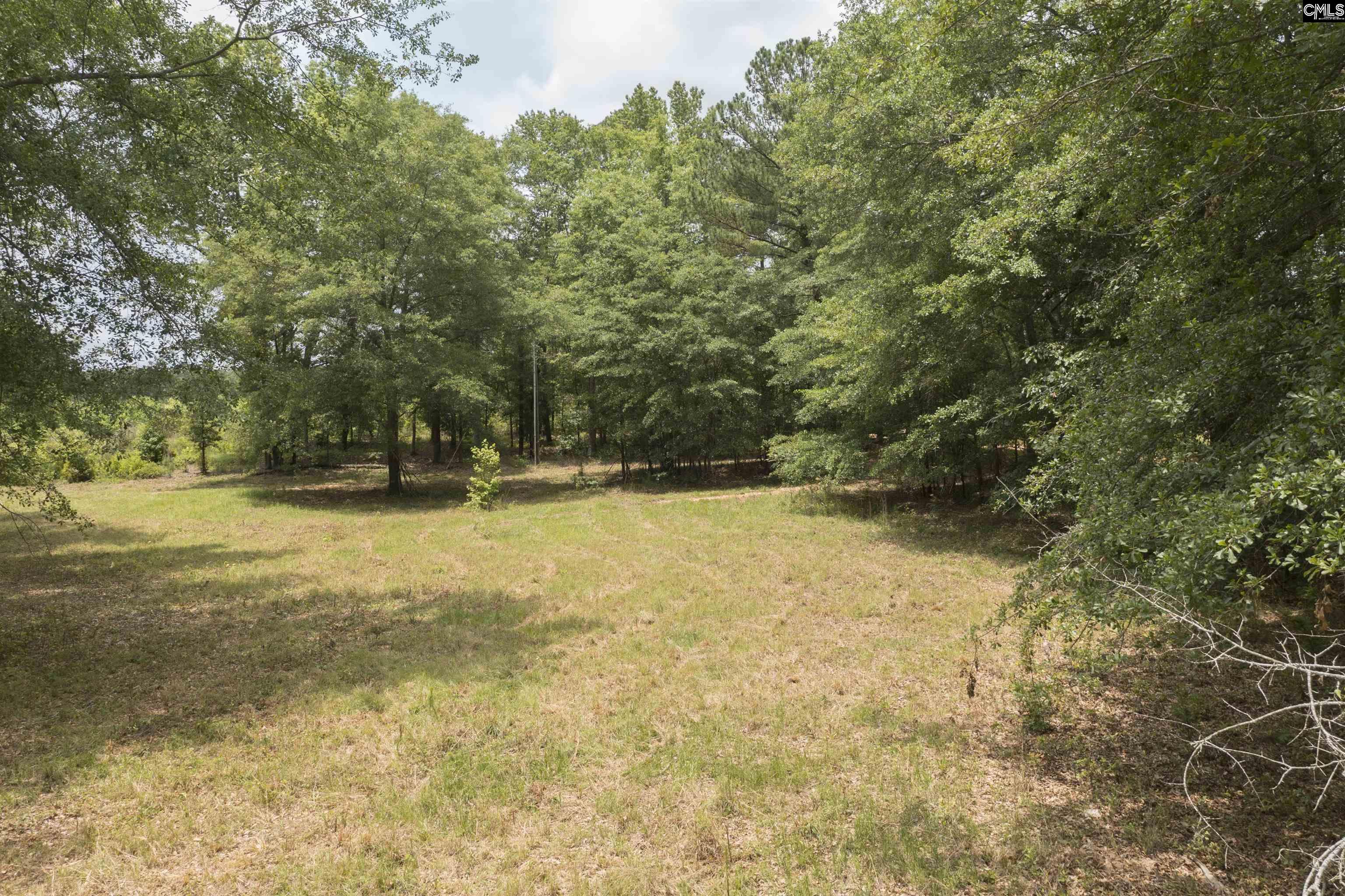 117 Glover Road, Pelion, South Carolina image 6