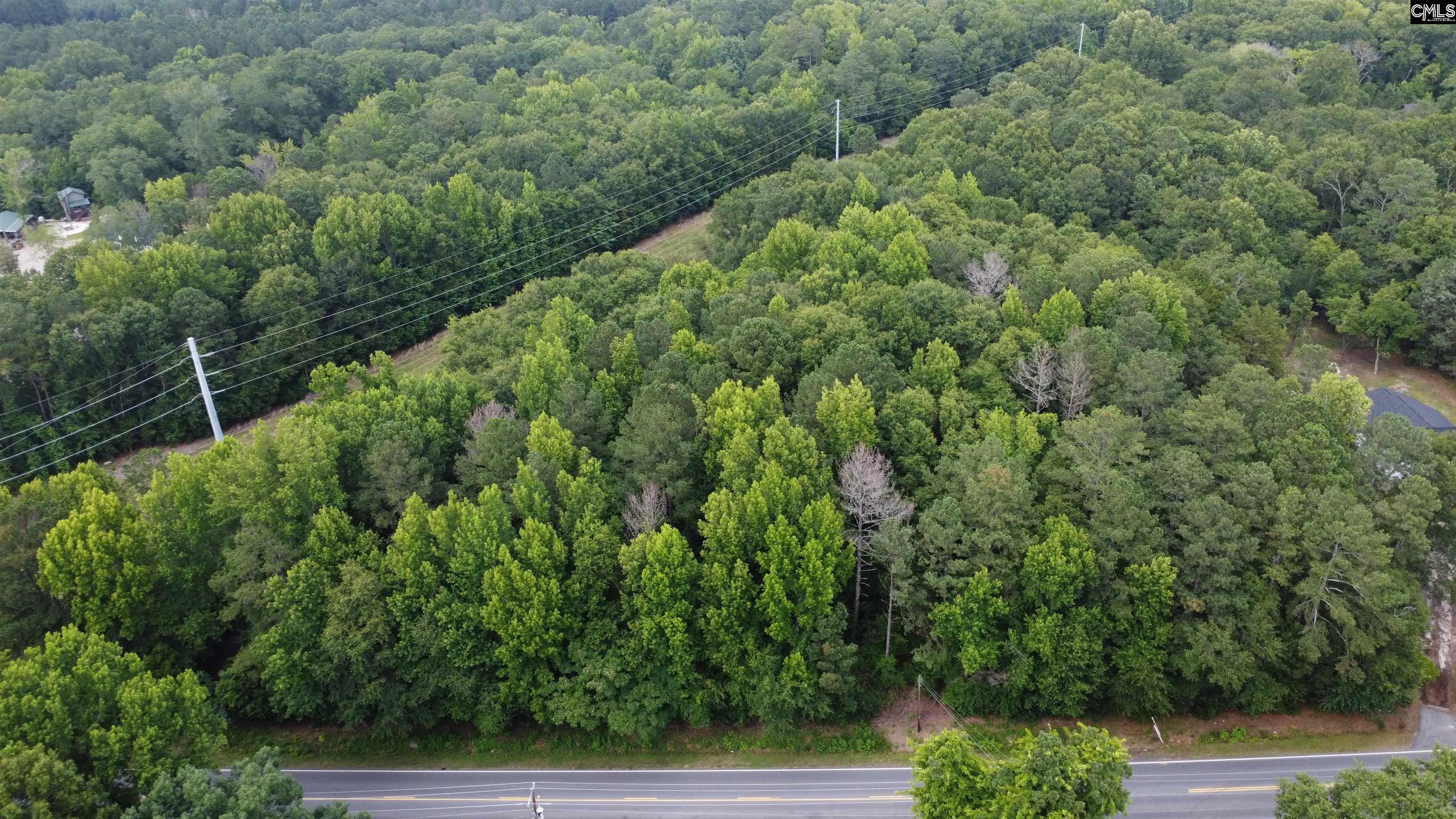 Batesburg SC Real Estate Saluda Avenue Batesburg SC 29006 MLS 564795