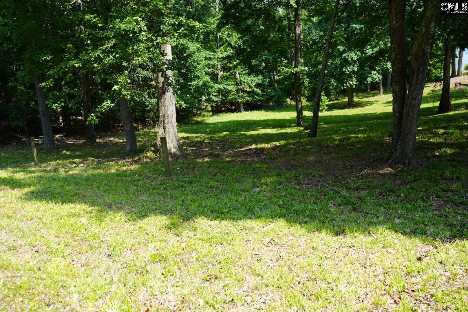 267 Killian Point Chapin, SC 29036