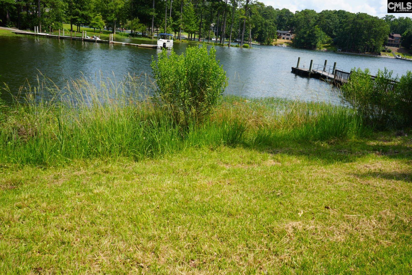 267 Killian Point Chapin, SC 29036