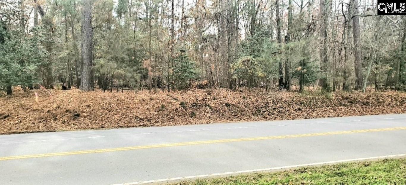 1679 Amicks Ferry Road Chapin, SC 29036
