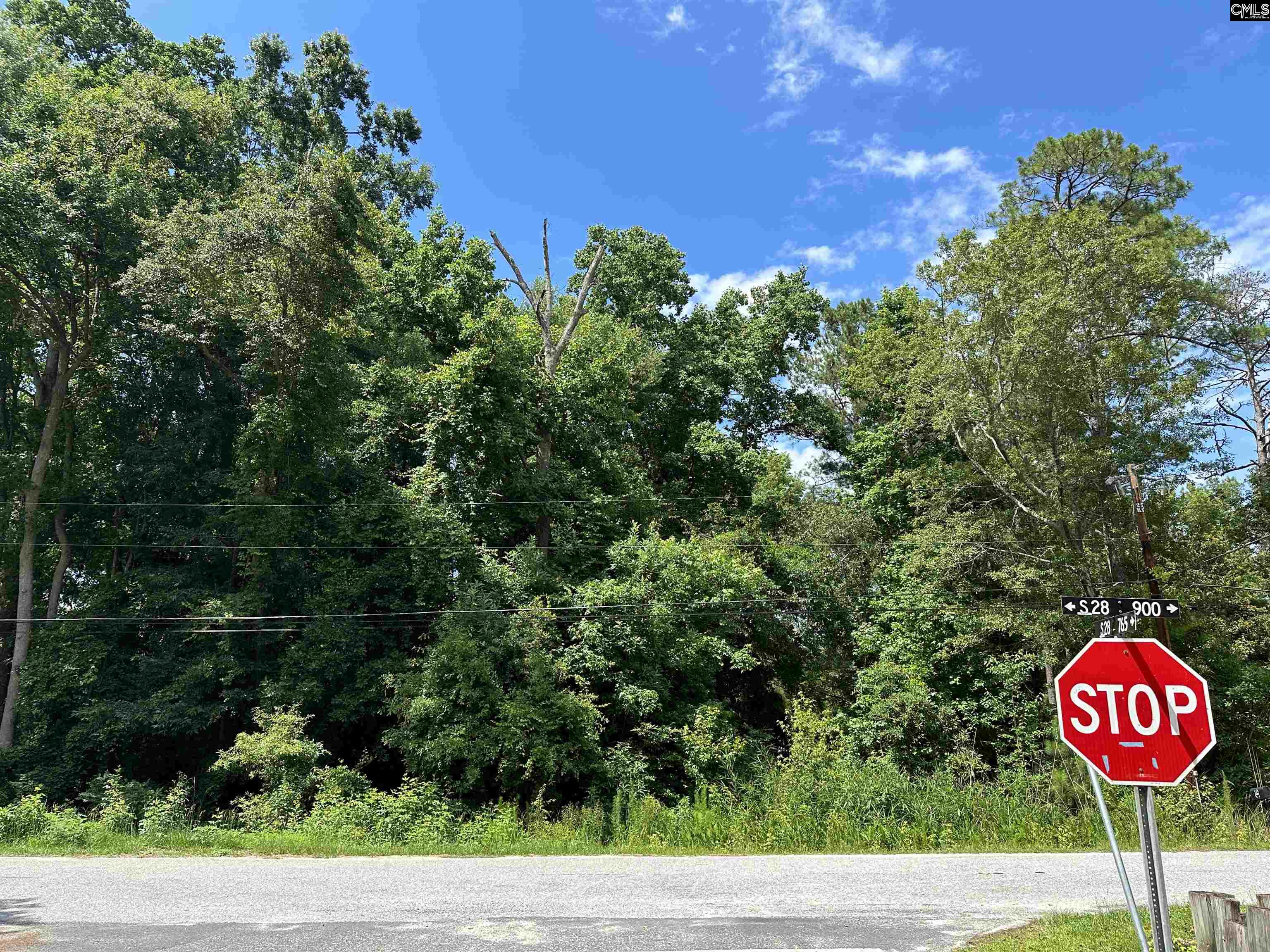 1136 Bayview Drive Lugoff, SC 29078