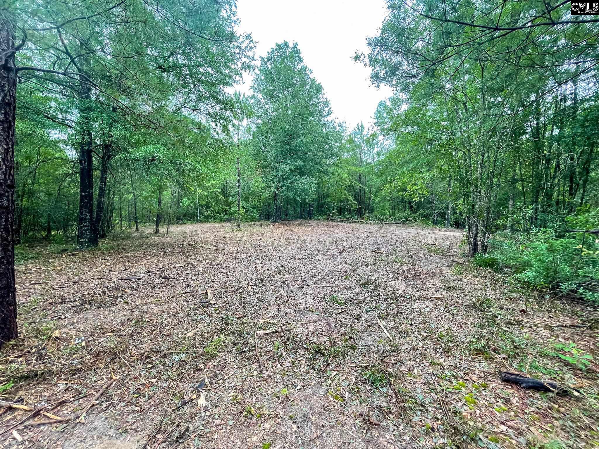 125 Honeysuckle Trail Unit #2 Wagener, SC 29164