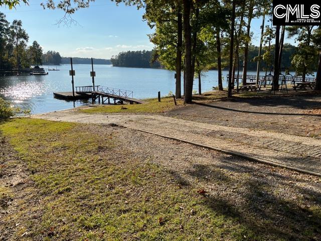 105 Pembroke Lane Chapin, SC 29036