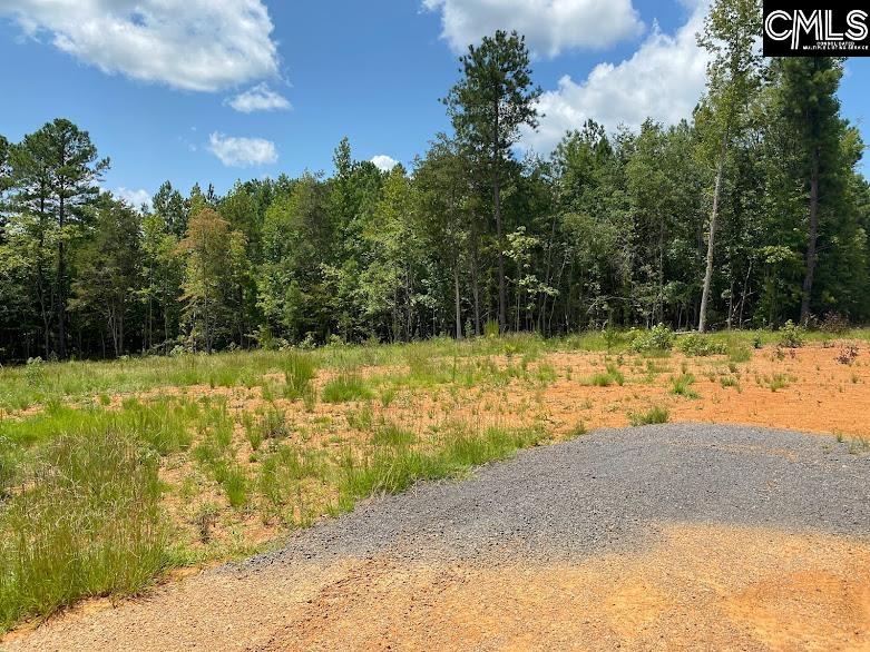 853 Pine Grove Road Blythewood, SC 29016