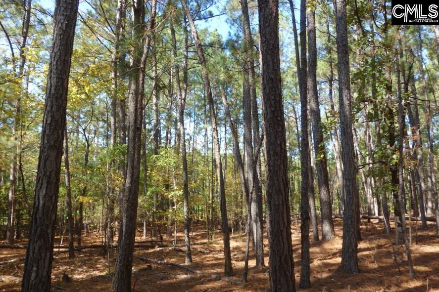 Reservoir Road Winnsboro, SC 29180