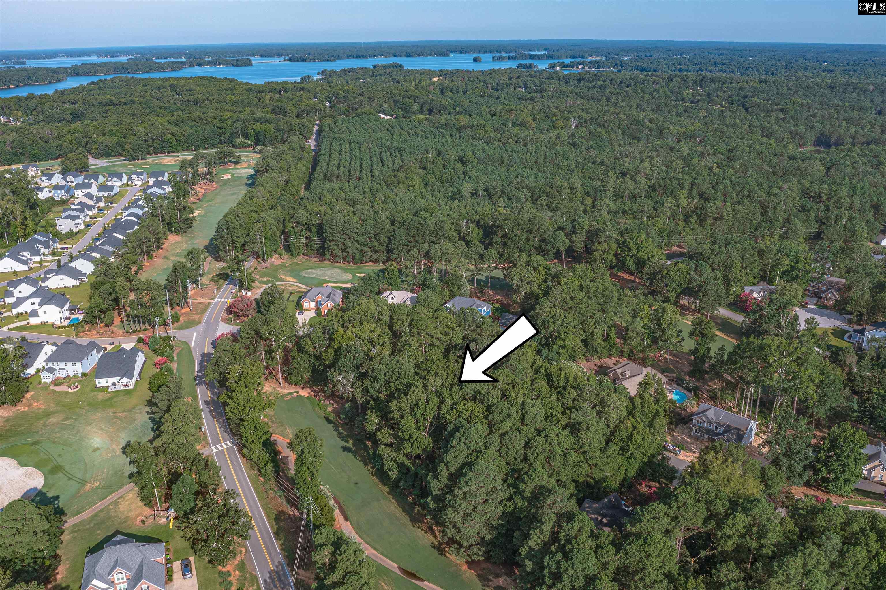 118 Lake Summit Drive Chapin, SC 29036