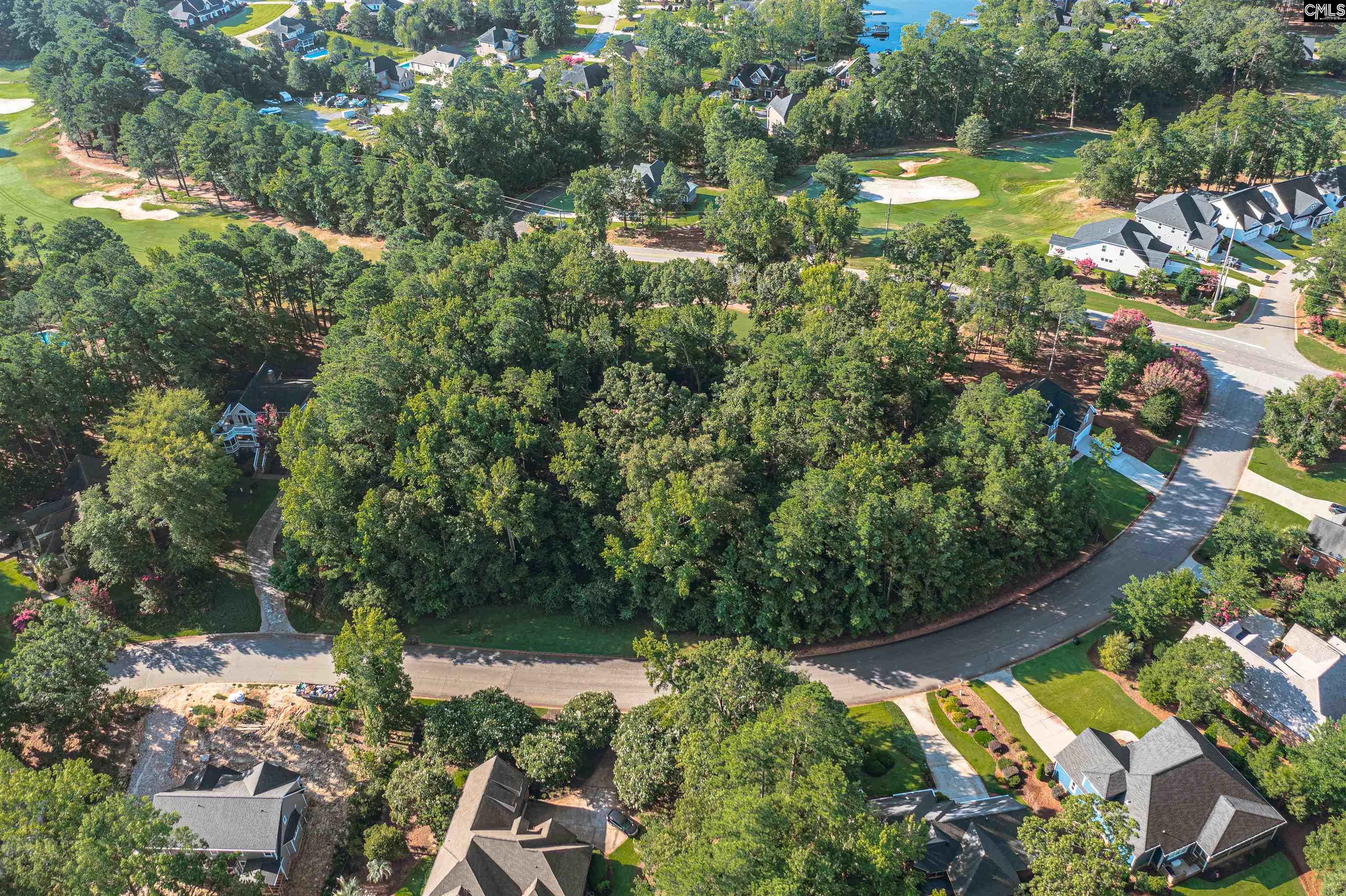 118 Lake Summit Drive Chapin, SC 29036