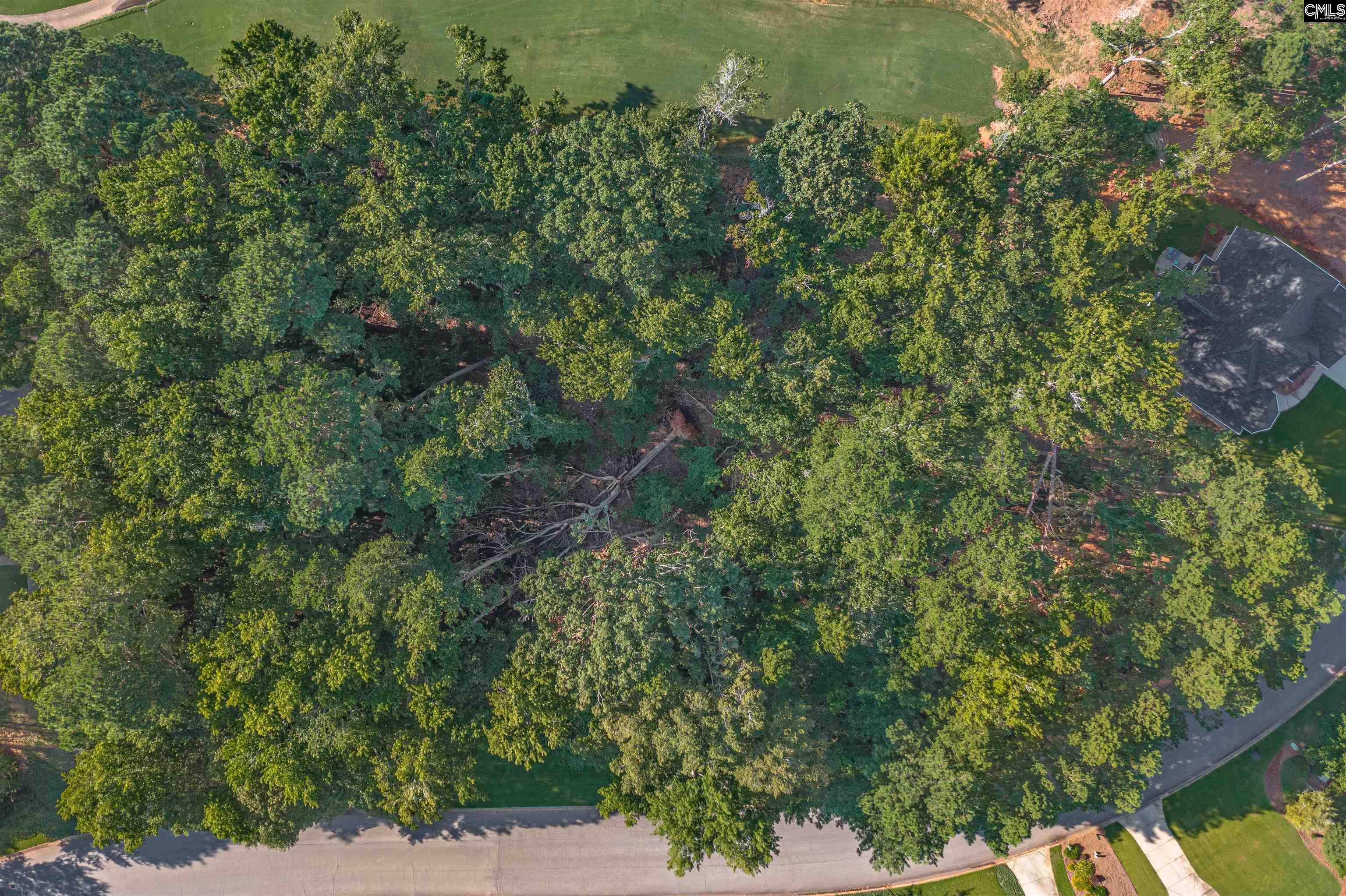 118 Lake Summit Drive Chapin, SC 29036