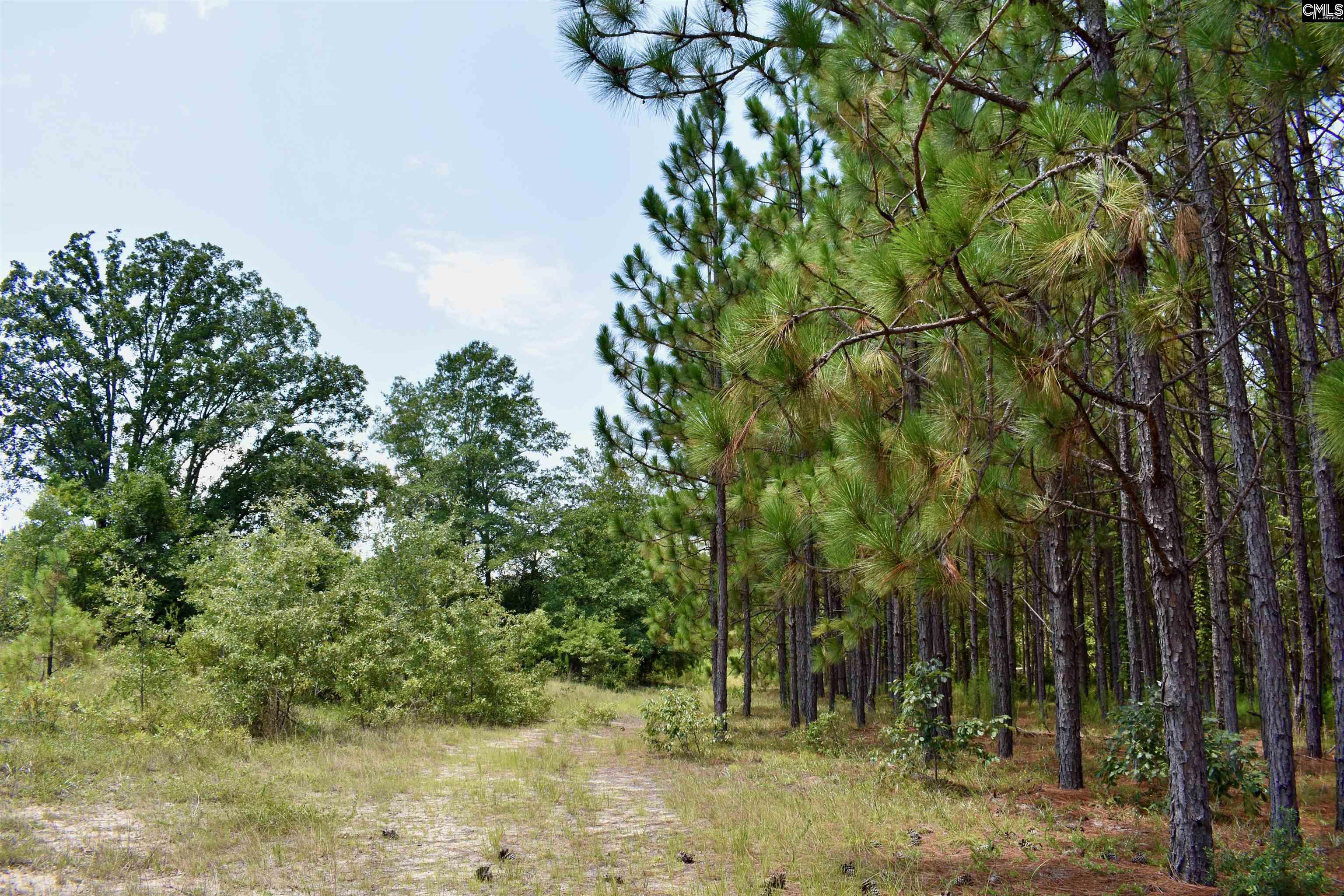 Tract 1 Mt Zion Road Camden, SC 29020