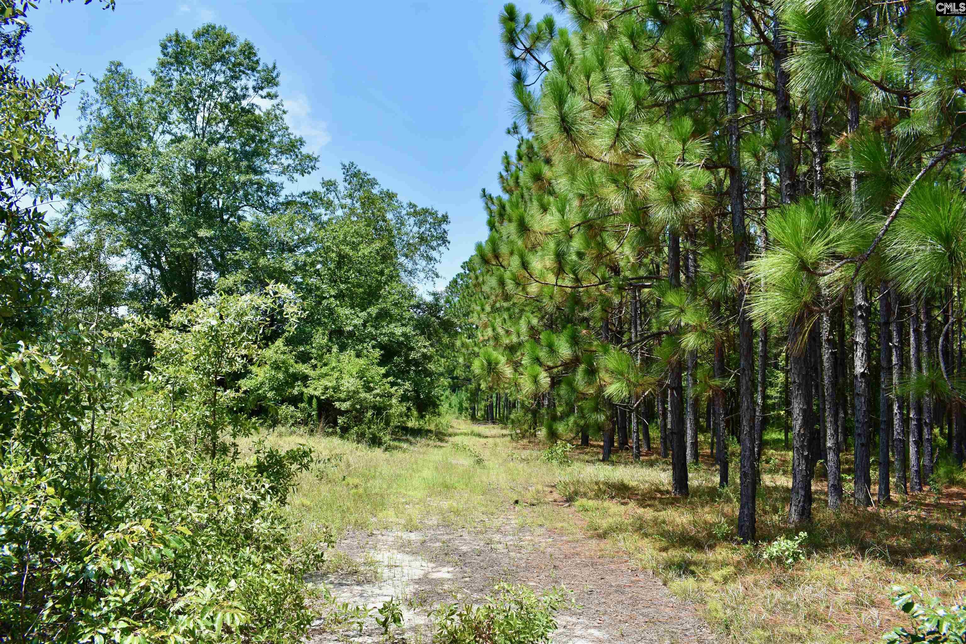 Tract 1 Mt Zion Road Camden, SC 29020