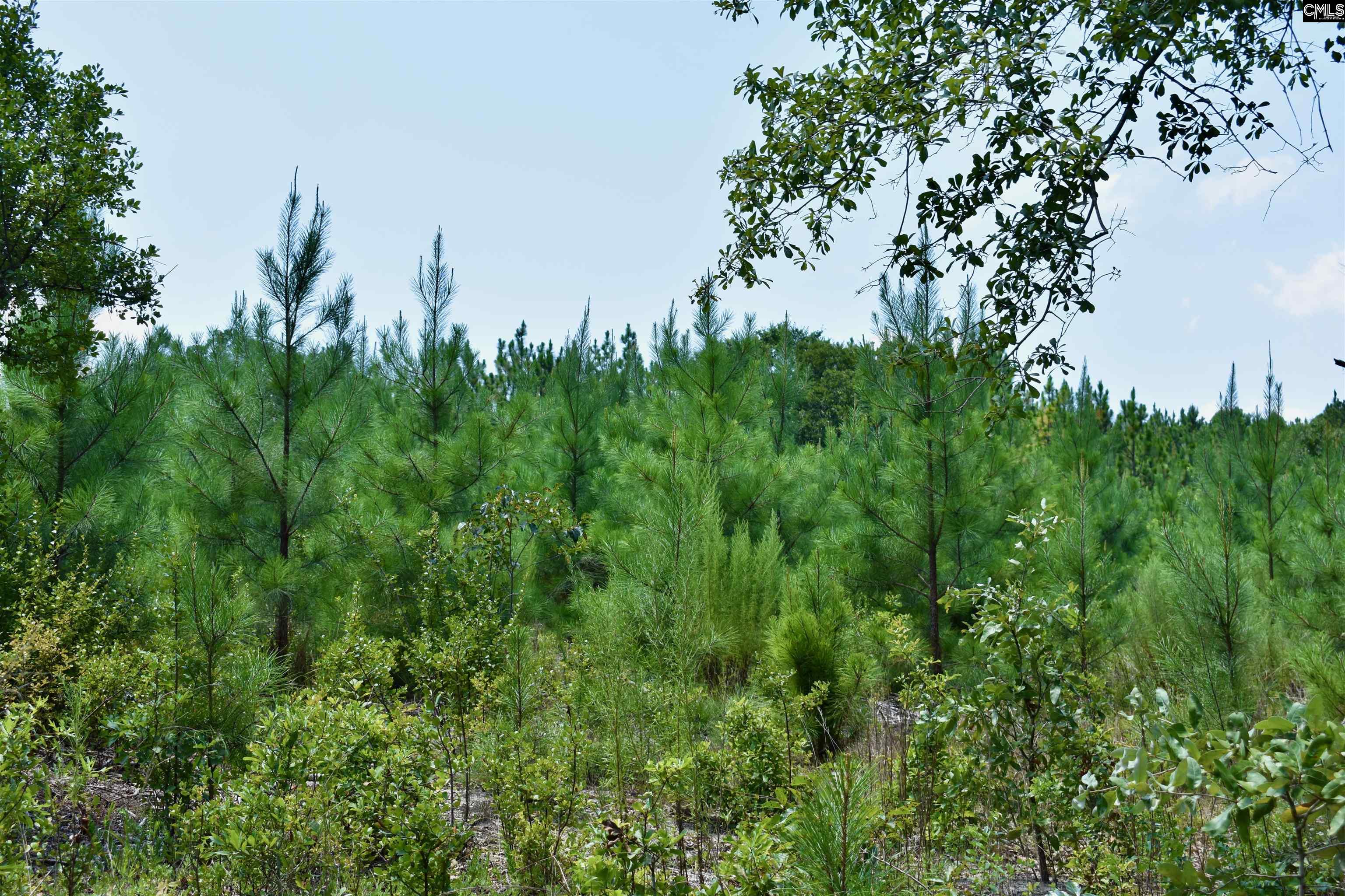 Tract 1 Mt Zion Road Camden, SC 29020