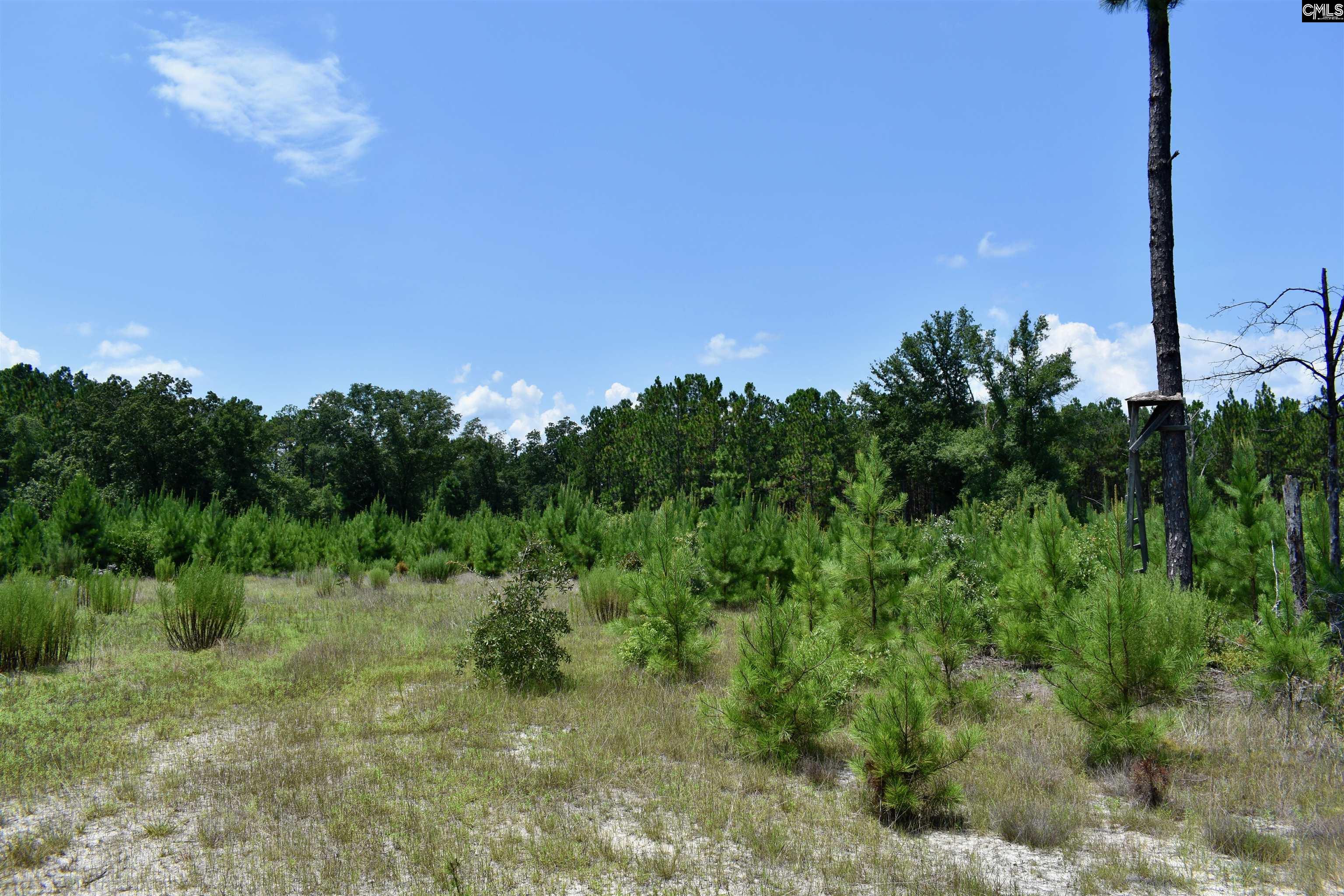 Tract 1 Mt Zion Road Camden, SC 29020
