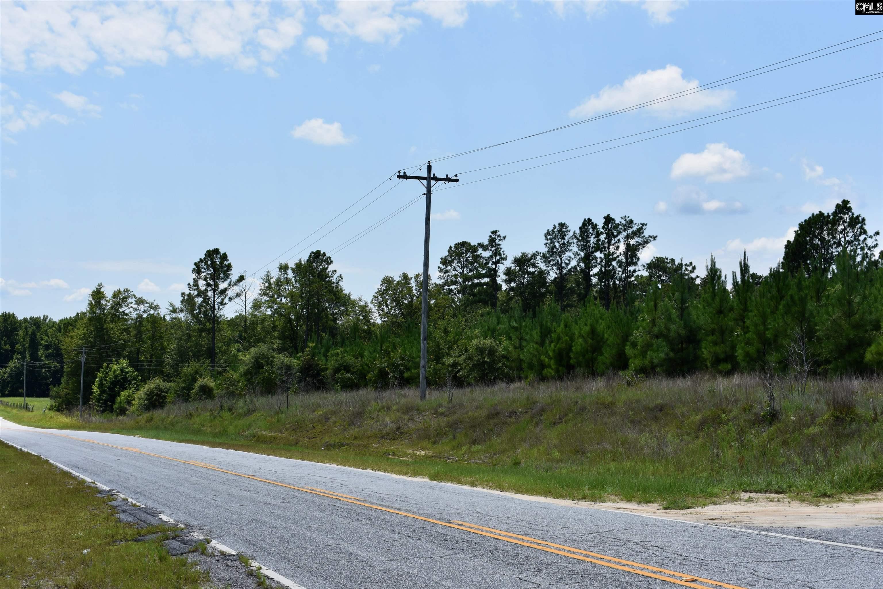 Tract 1 Mt Zion Road Camden, SC 29020