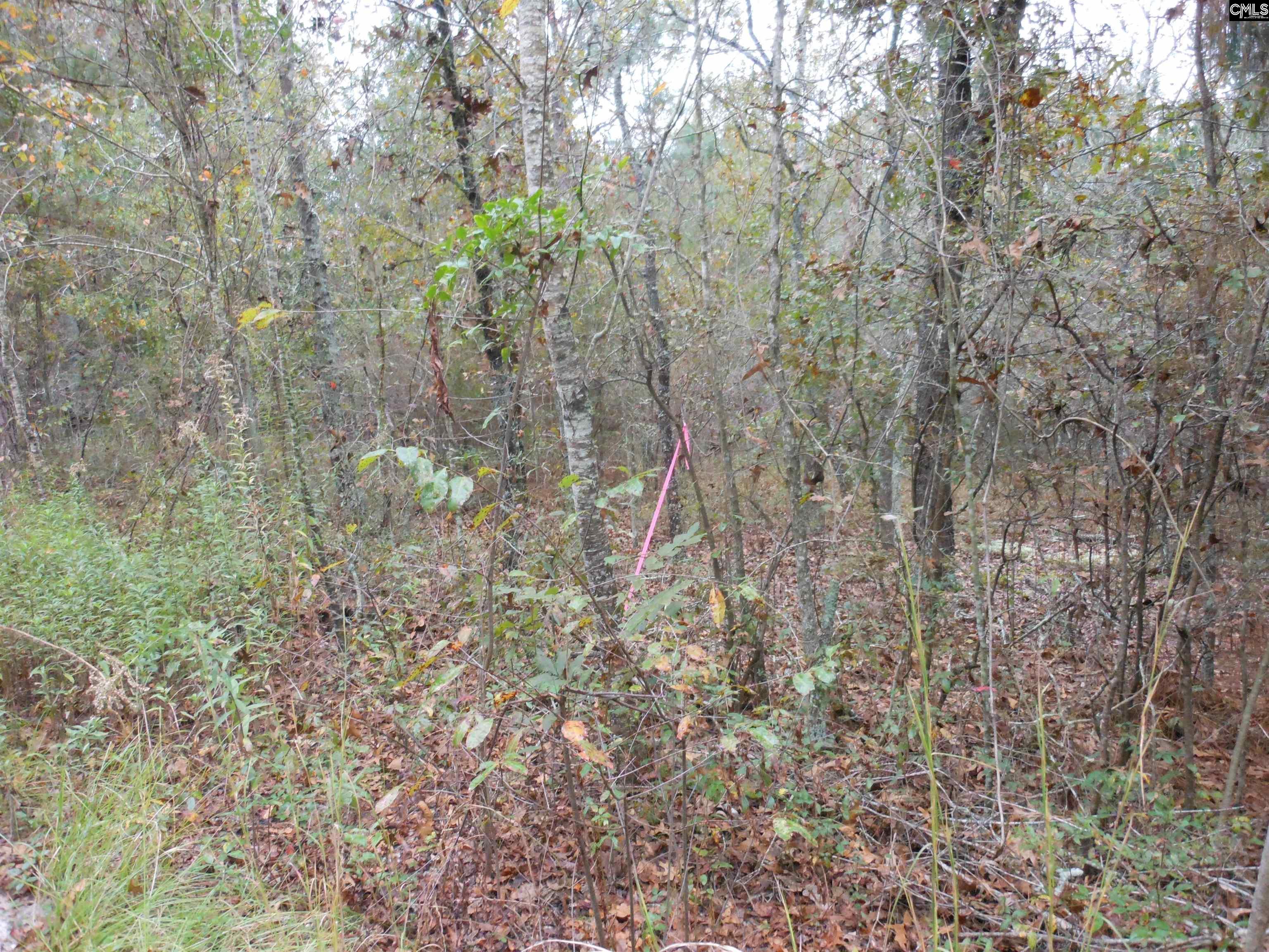 Parrish Road Batesburg, SC 29006