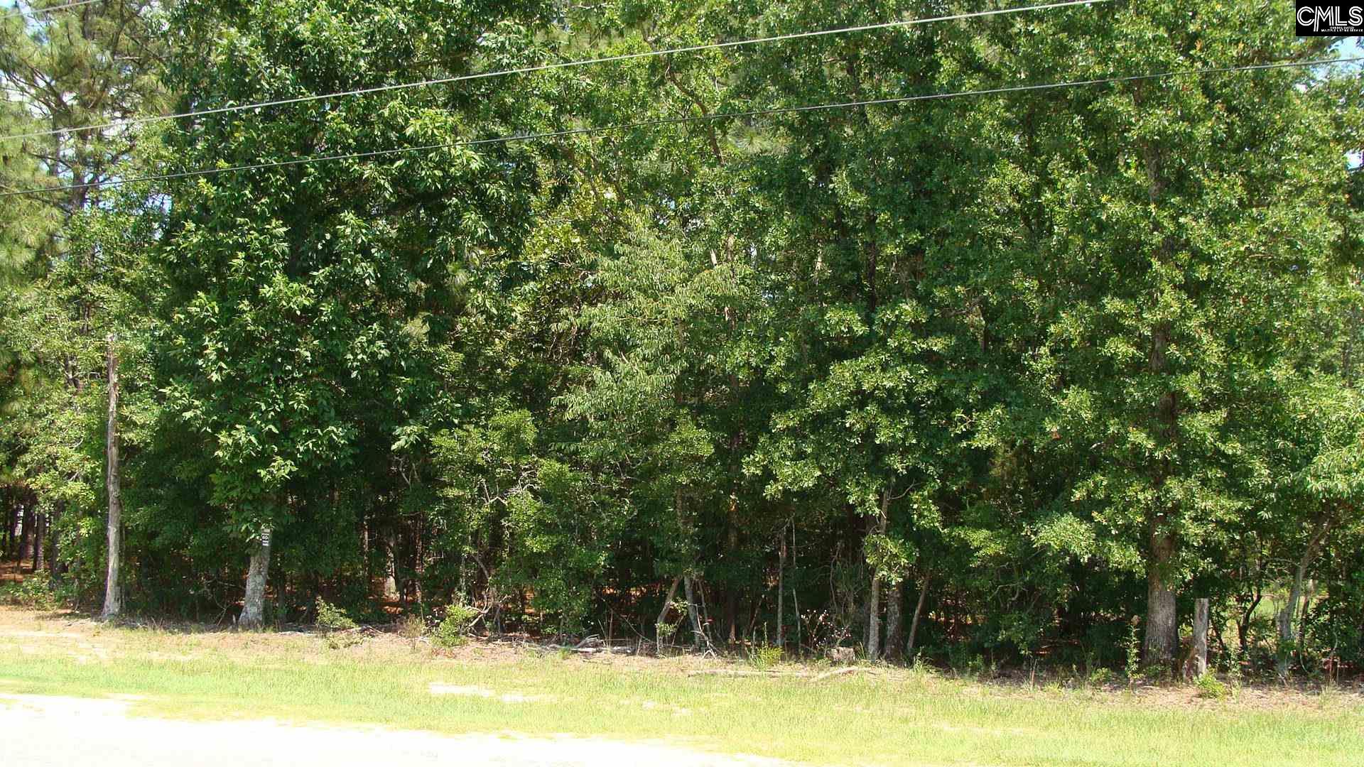 2029 Woodtrail Drive, Gaston, South Carolina image 2