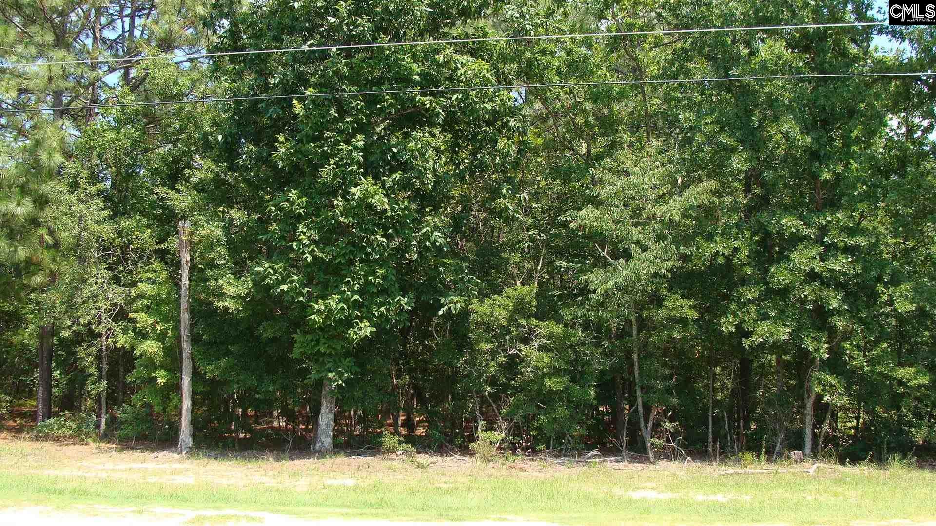 2029 Woodtrail Drive, Gaston, South Carolina image 3