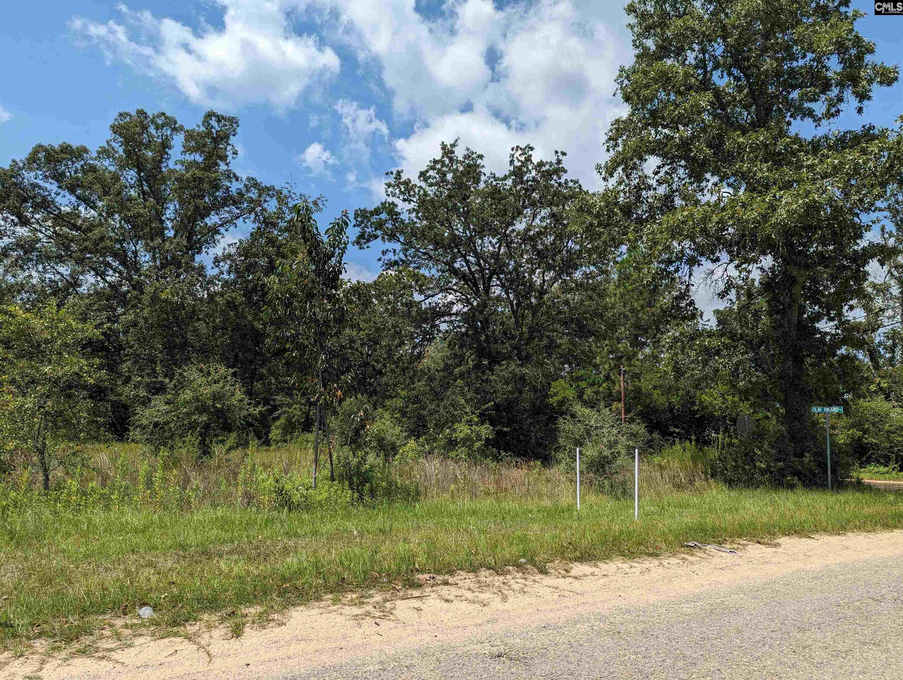 Olin Rikard Road Gaston, SC 29053