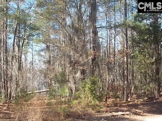 1539 Wild Turkey Road Camden, SC 29020