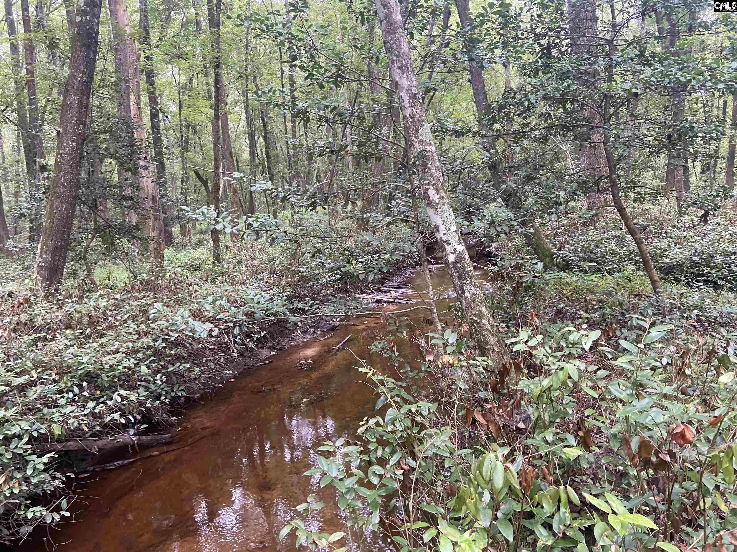154C Hiltons Lane Camden, SC 29020