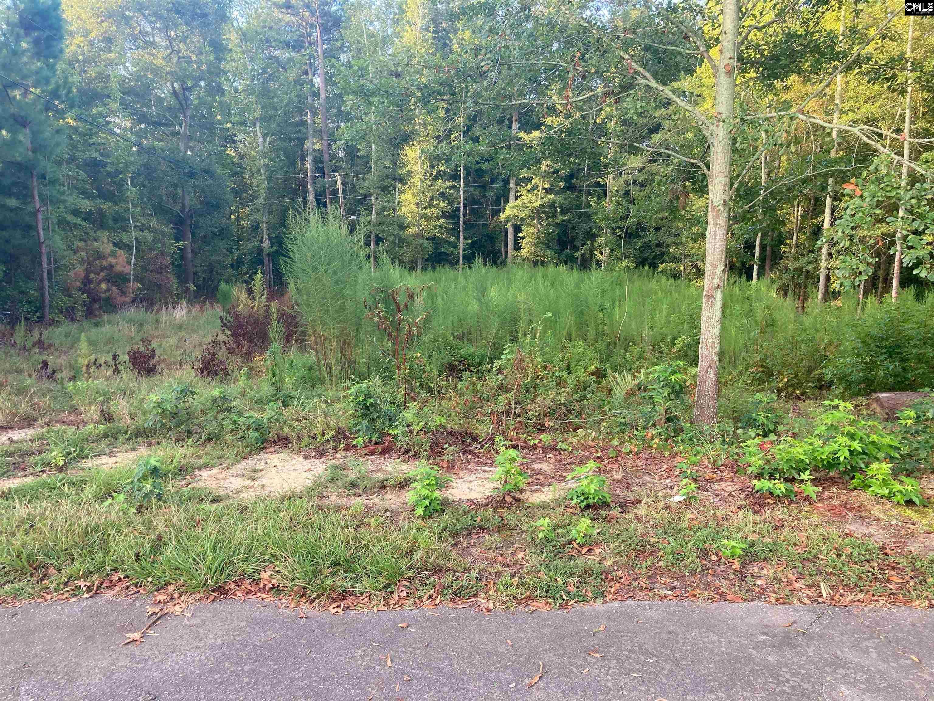 451 Kendall Drive Unit Prt Of 5&6 Batesburg, SC 29006