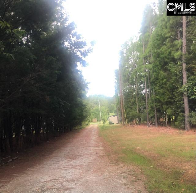 516 Old Bush River Road Chapin, SC 29036