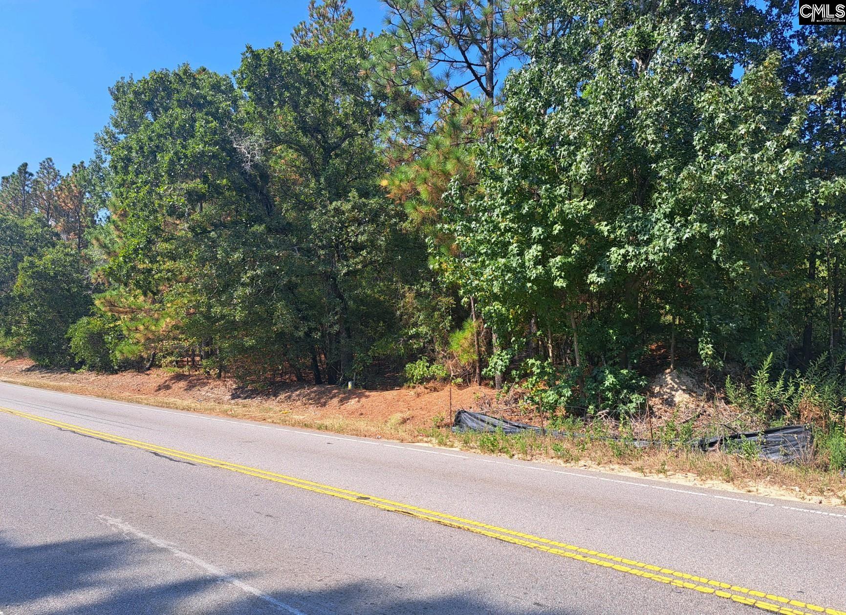 S Lake Drive Lexington, SC 29073