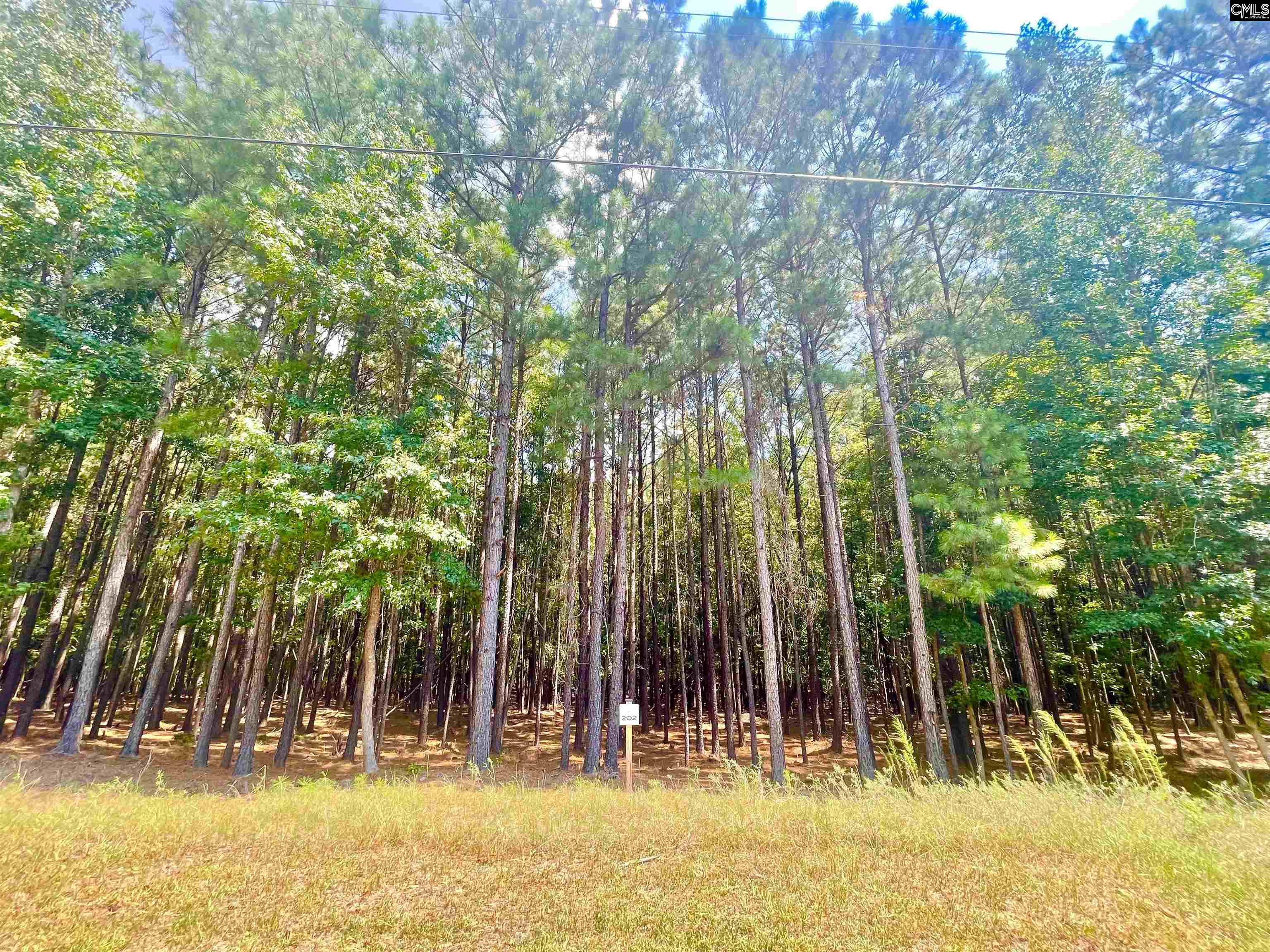 Lot 202 Peninsula Drive UNIT #202 Prosperity, SC 29127