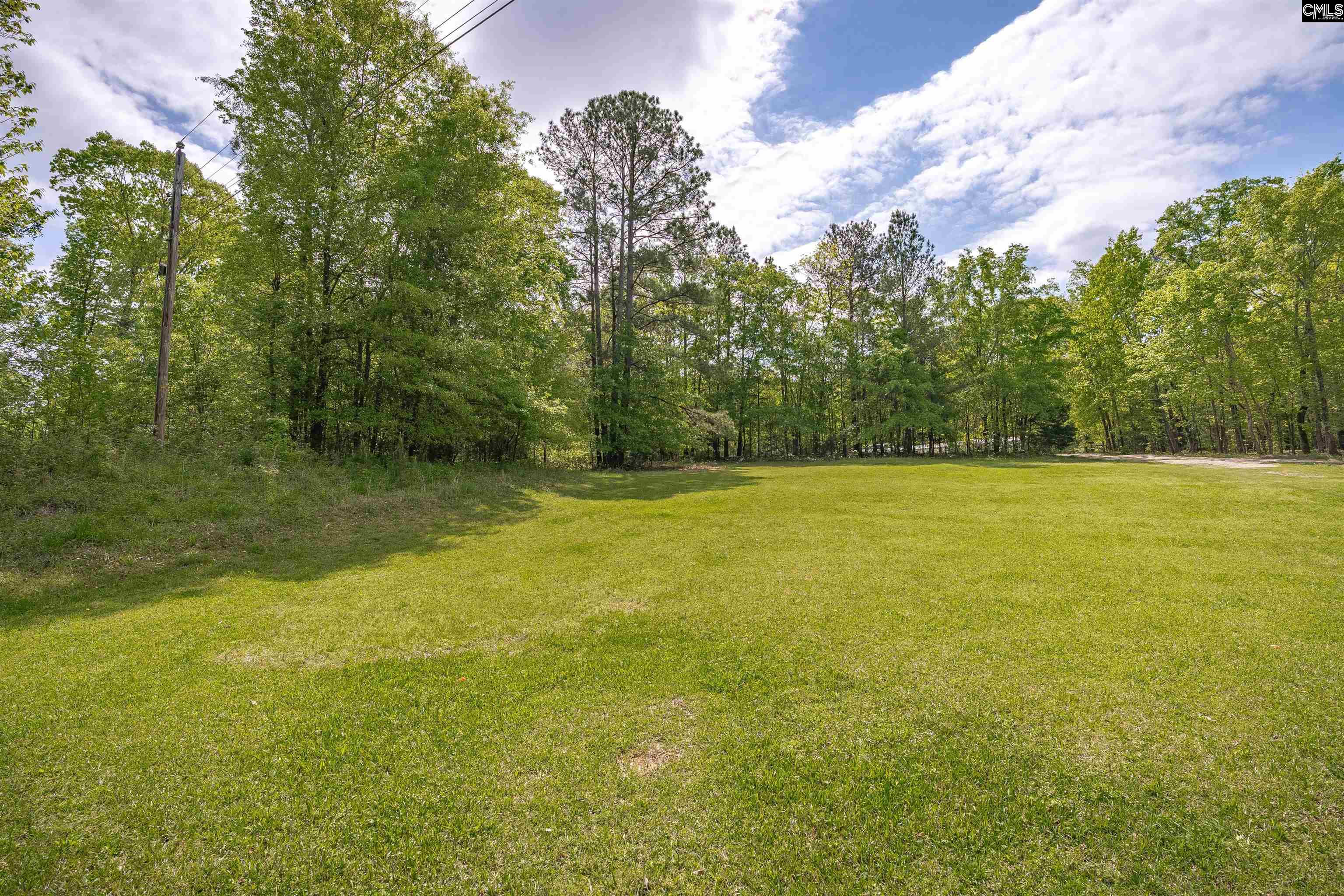 116 Mud Pie Drive Leesville, SC 29070