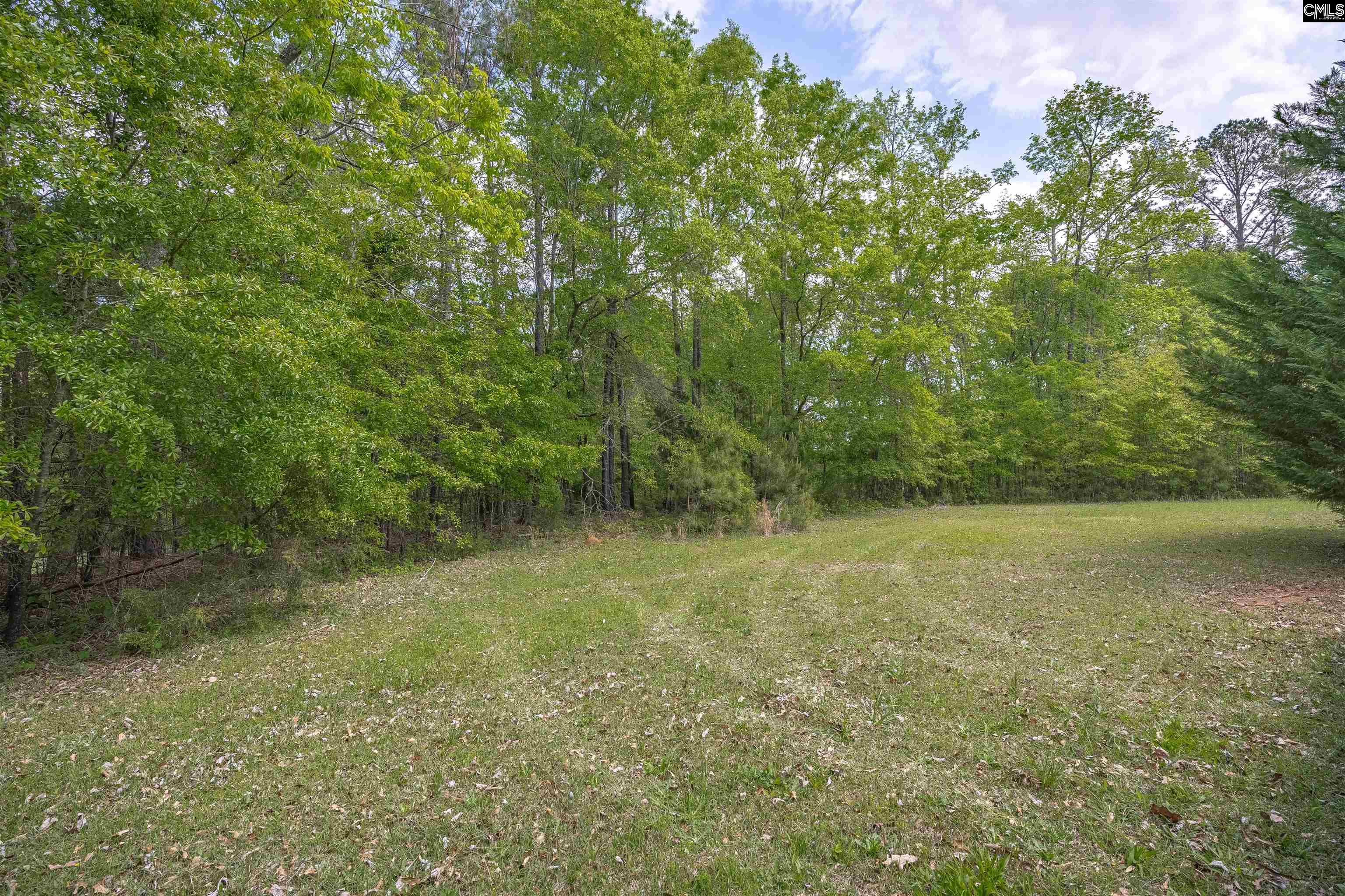 116 Mud Pie Drive Leesville, SC 29070