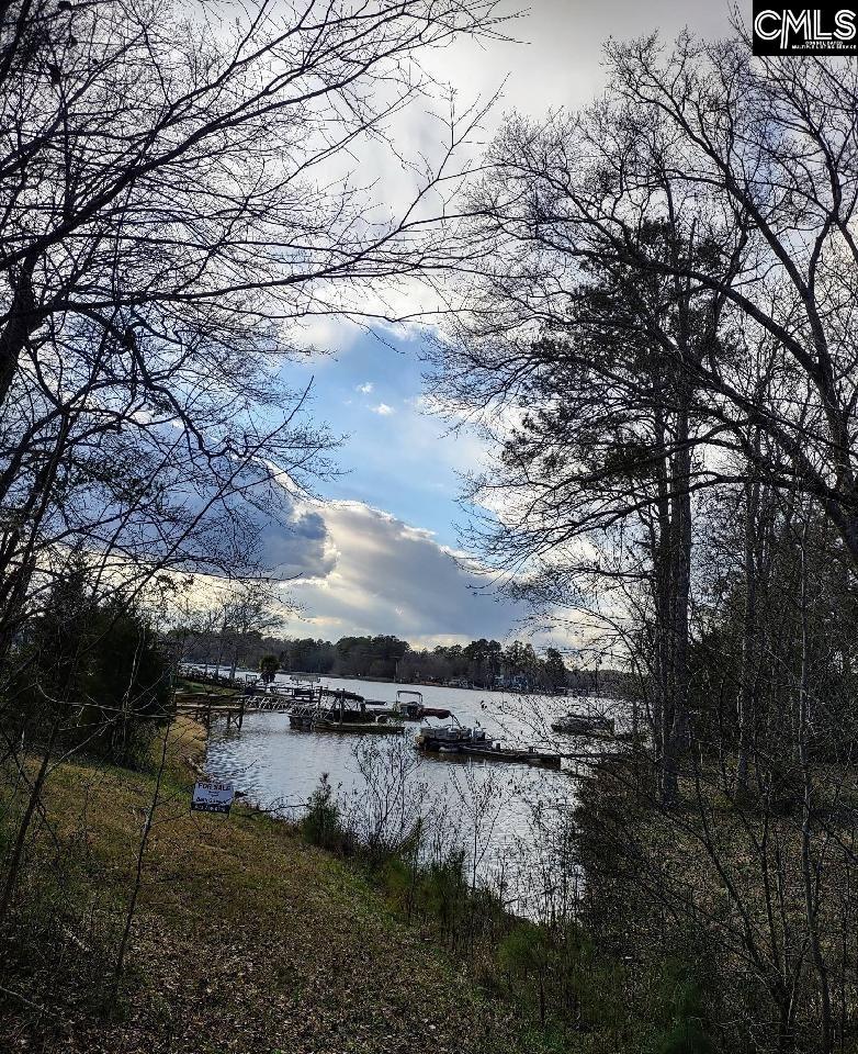 116 Mud Pie Drive Leesville, SC 29070