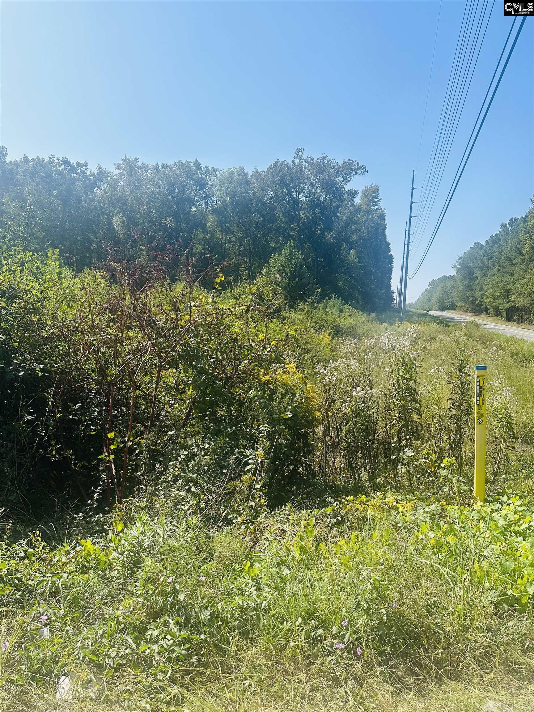 1002 Pond Valley Road Blythewood, SC 29016