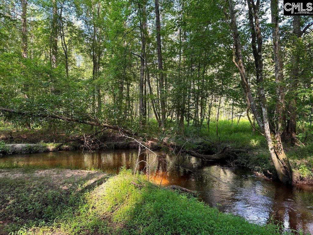 Willow Swamp Road Norway, SC 29113