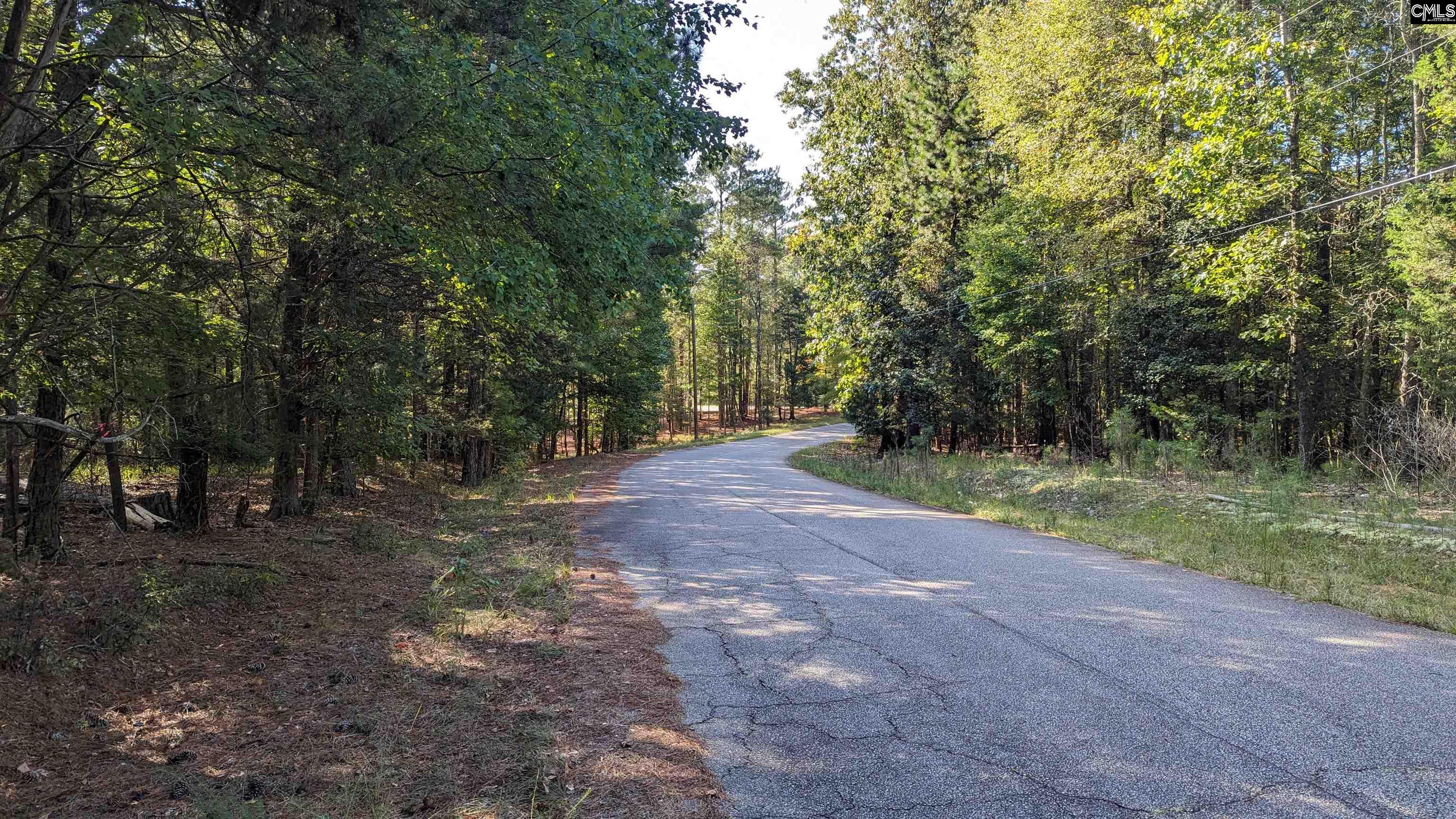 Lot 25 Cedar Springs Road Unit #25 Blythewood, SC 29016-0000