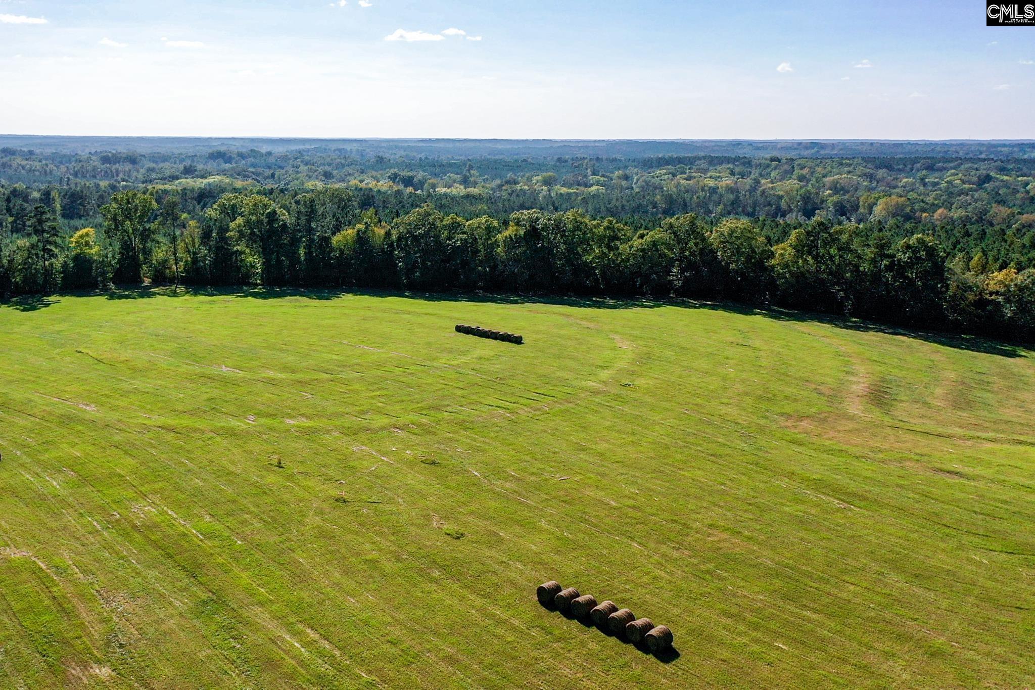3041 Summerland Highway Unit Lot 3 Leesville, SC 29070