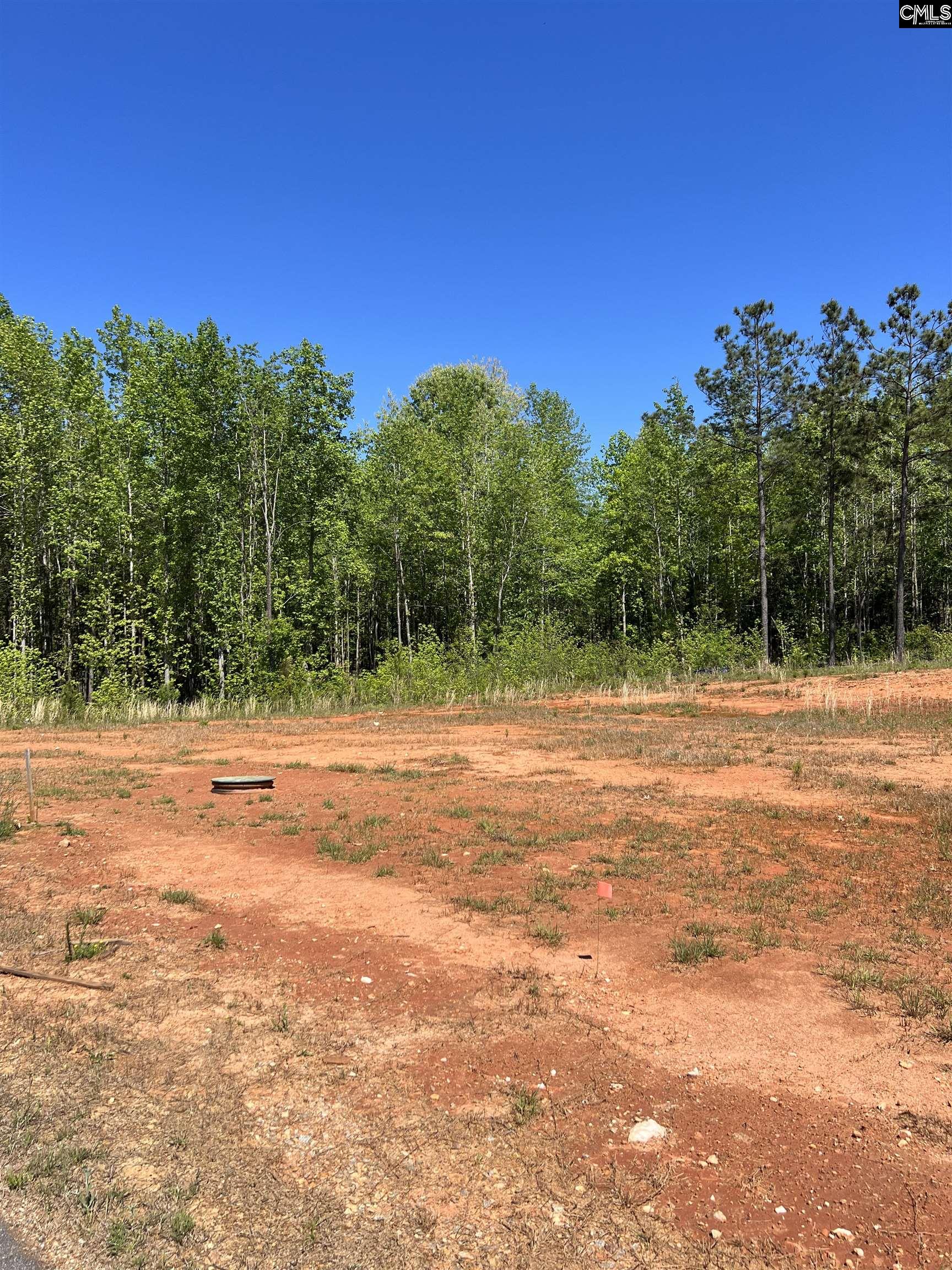 124 Clouds Creek Circle Leesville, SC 29070