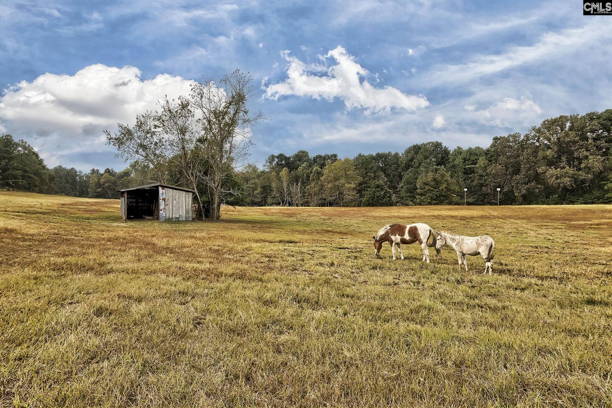 626 Elzie Hallman Road Leesville, SC 29070