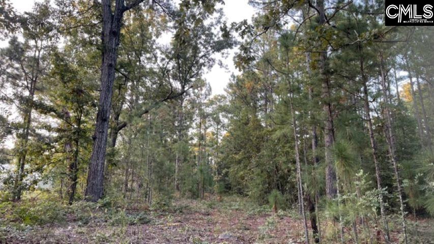 1058 Gary Goff Road Elgin, SC 29045