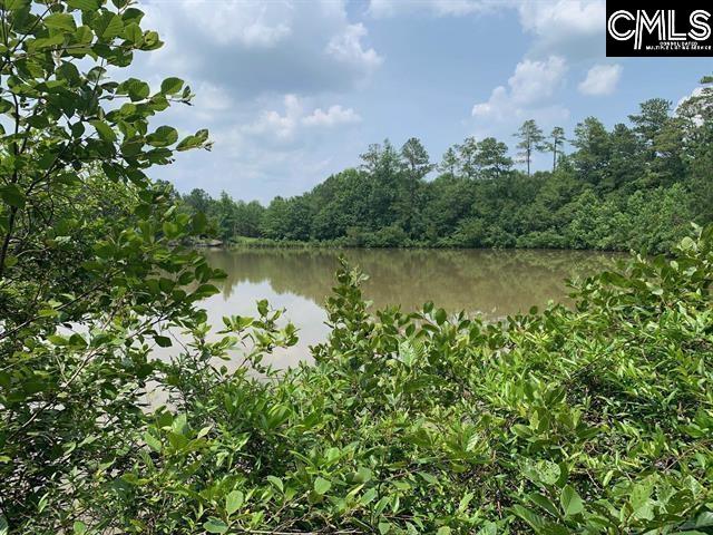 469 Brodie Road Leesville, SC 29070