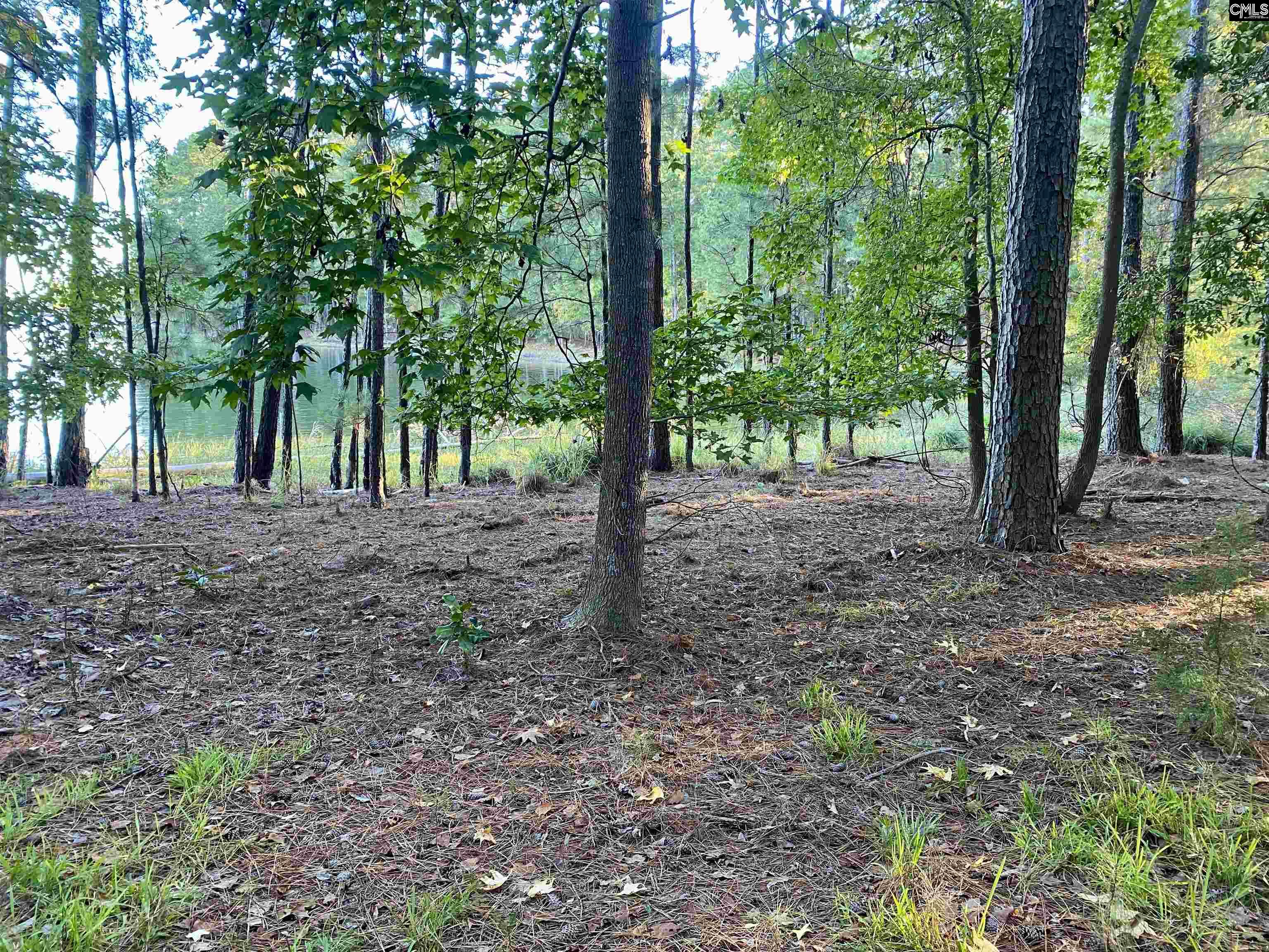 Resting Place Point Chapin, SC 29036
