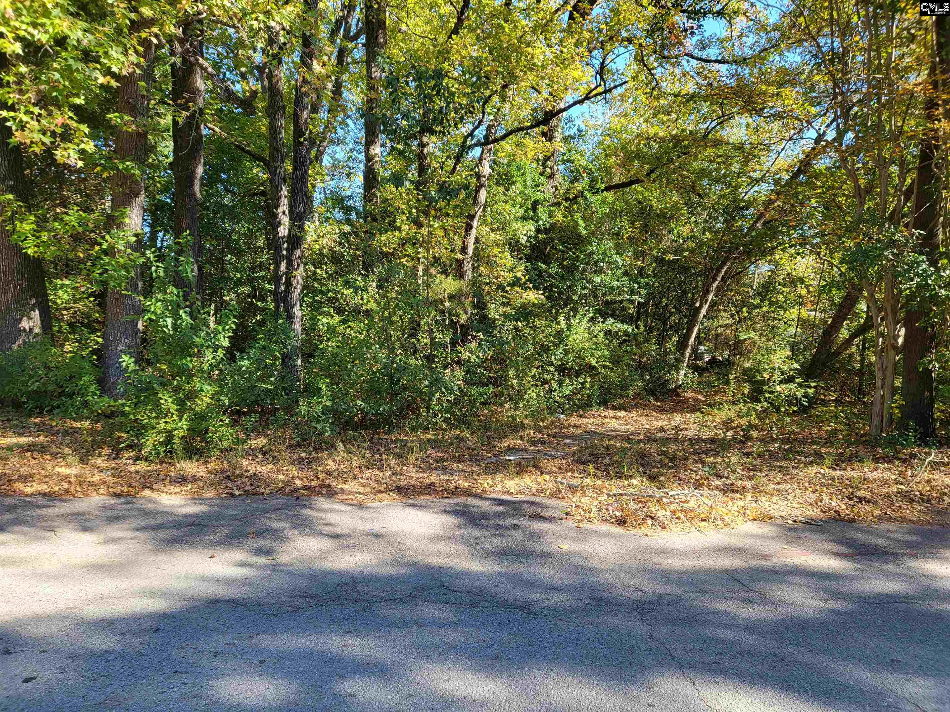 1008 S Ott Road Columbia, SC 29205