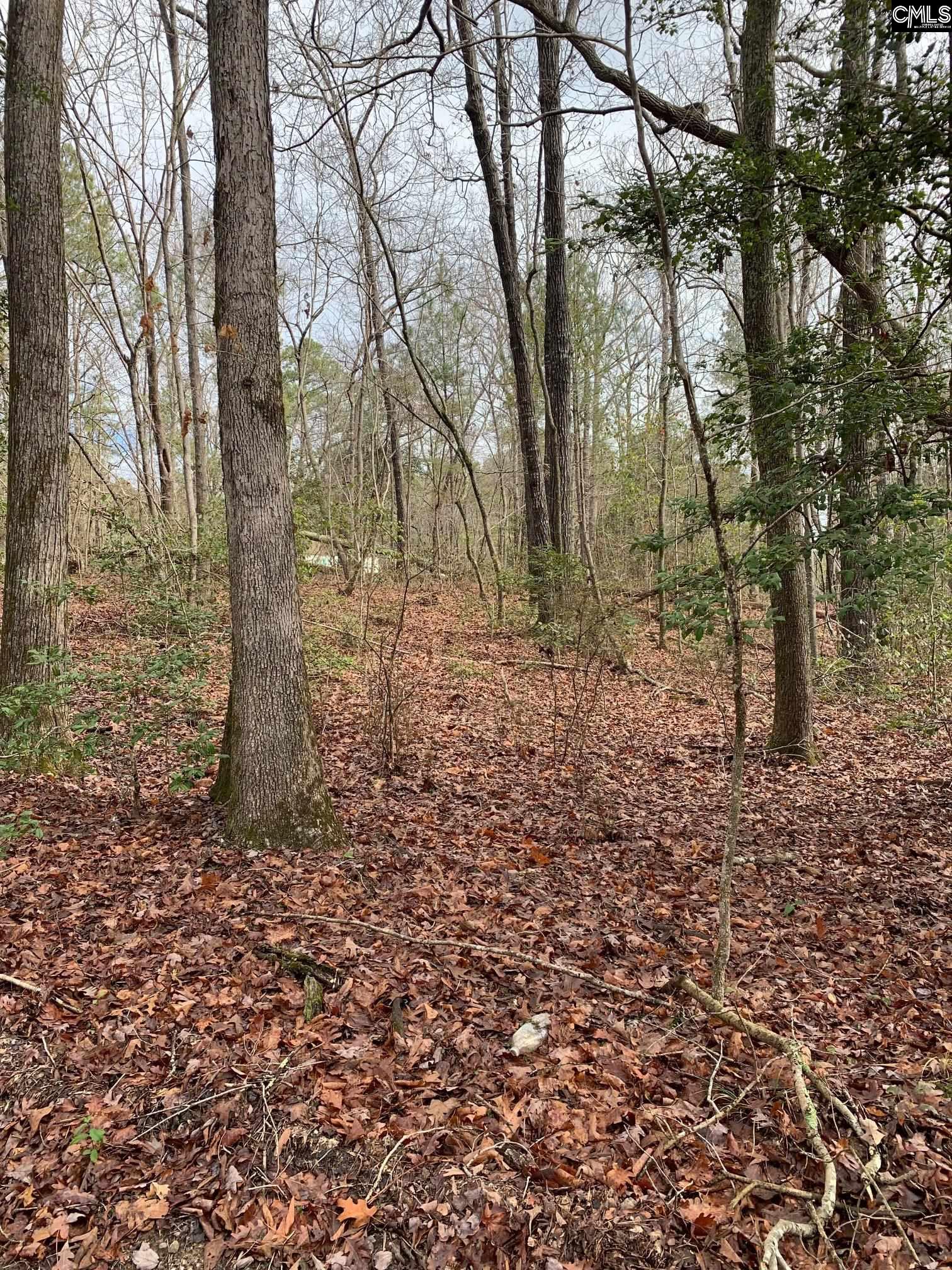 Hwy 378 Leesville, SC 29070