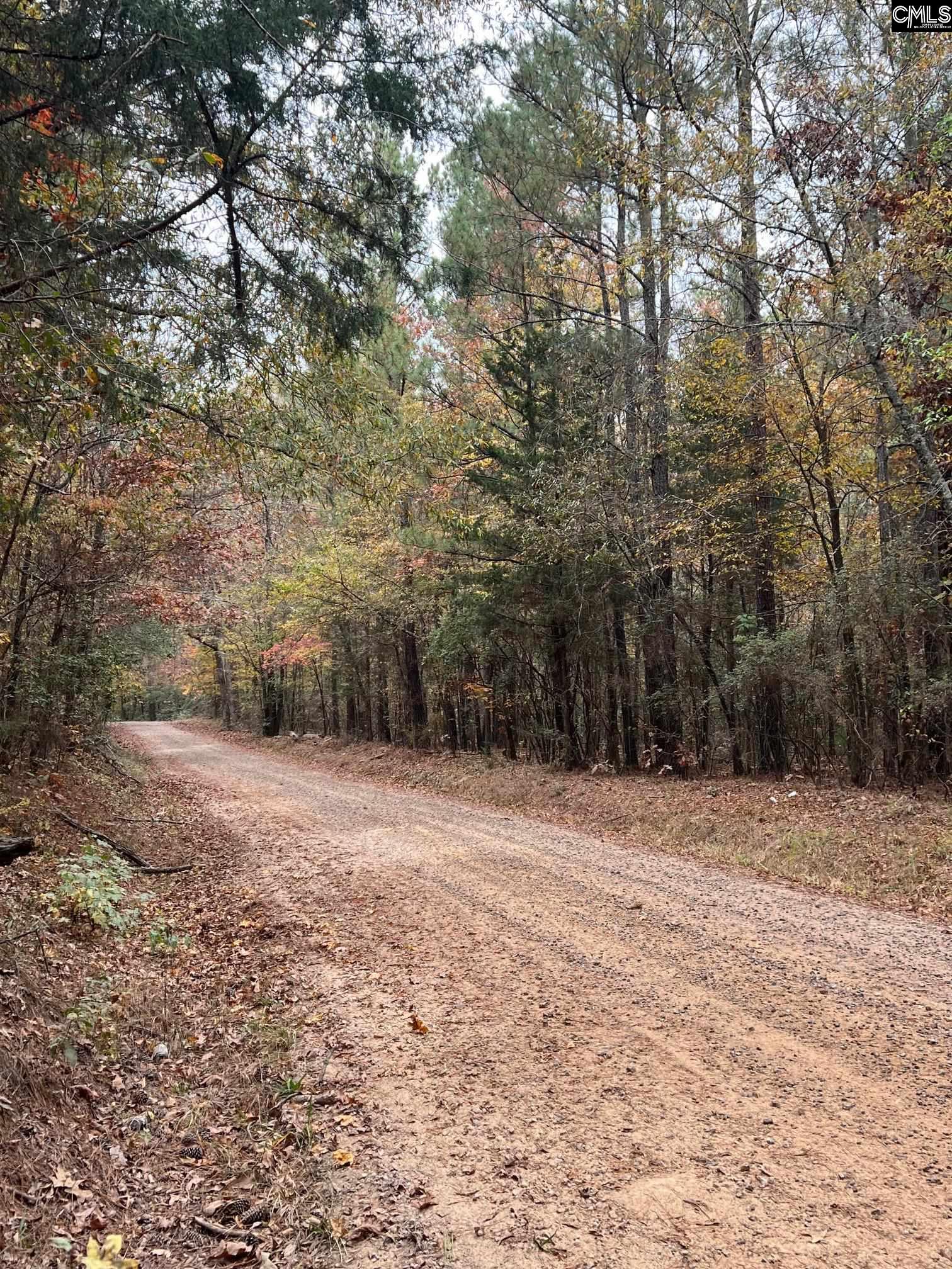 Shealy Road Leesville, SC 29070